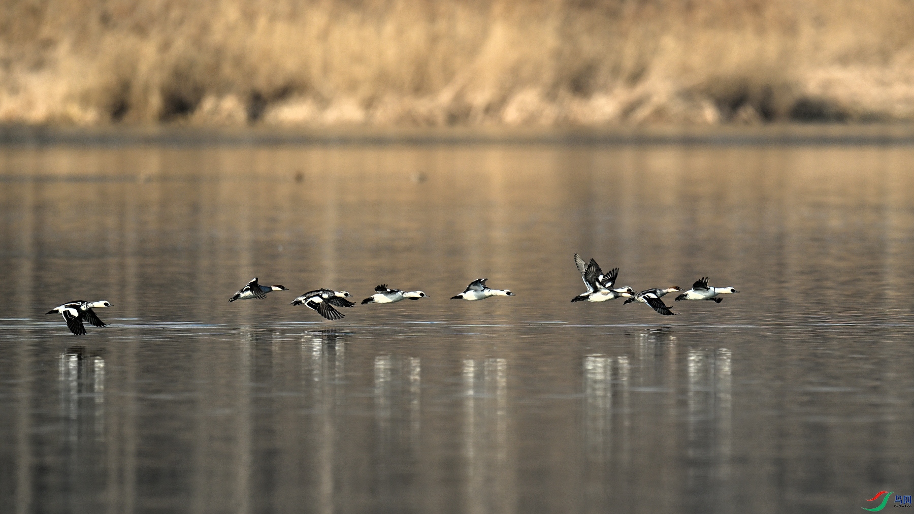 DSC_2858.JPG