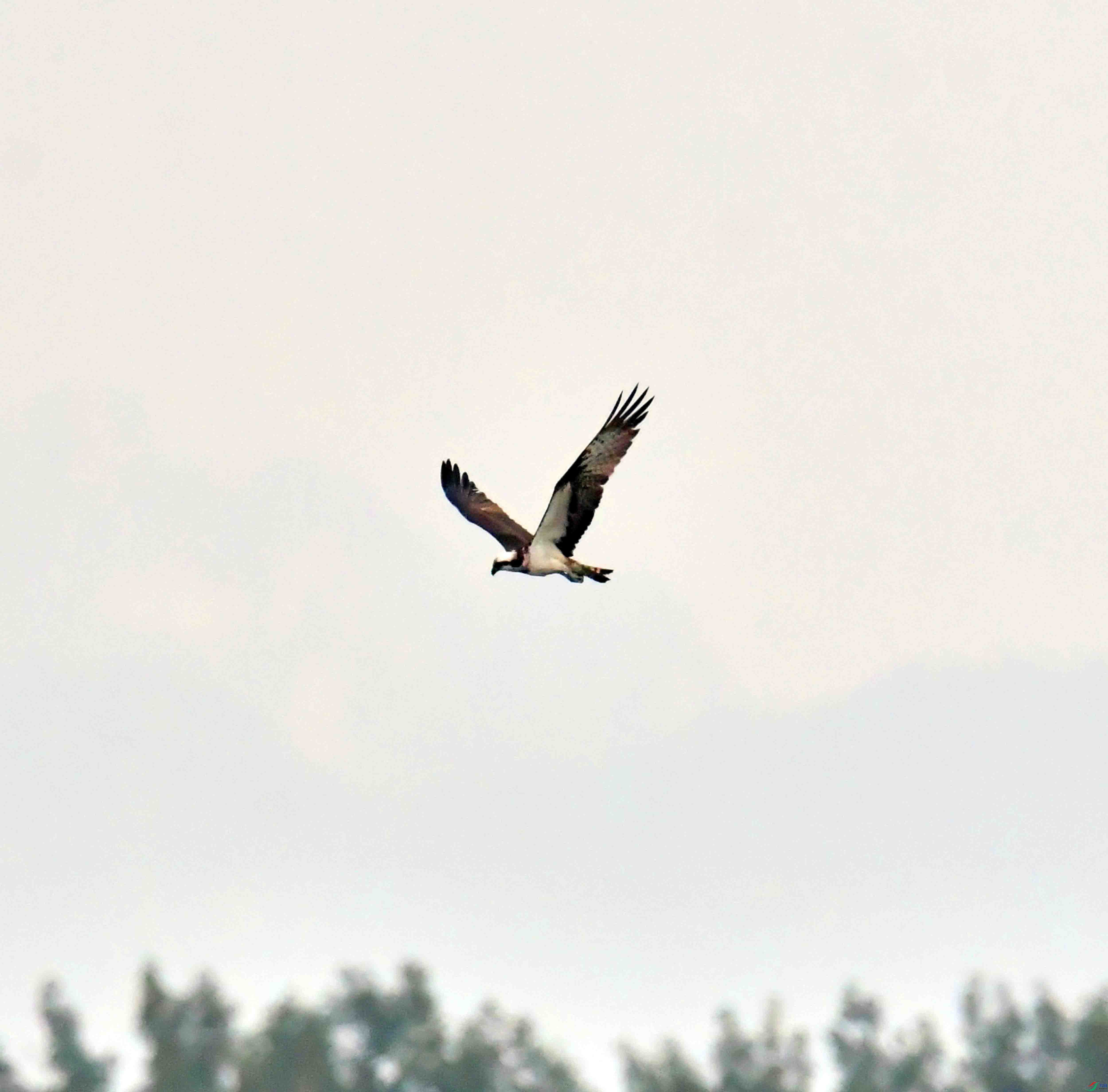 DSC_9074.JPG