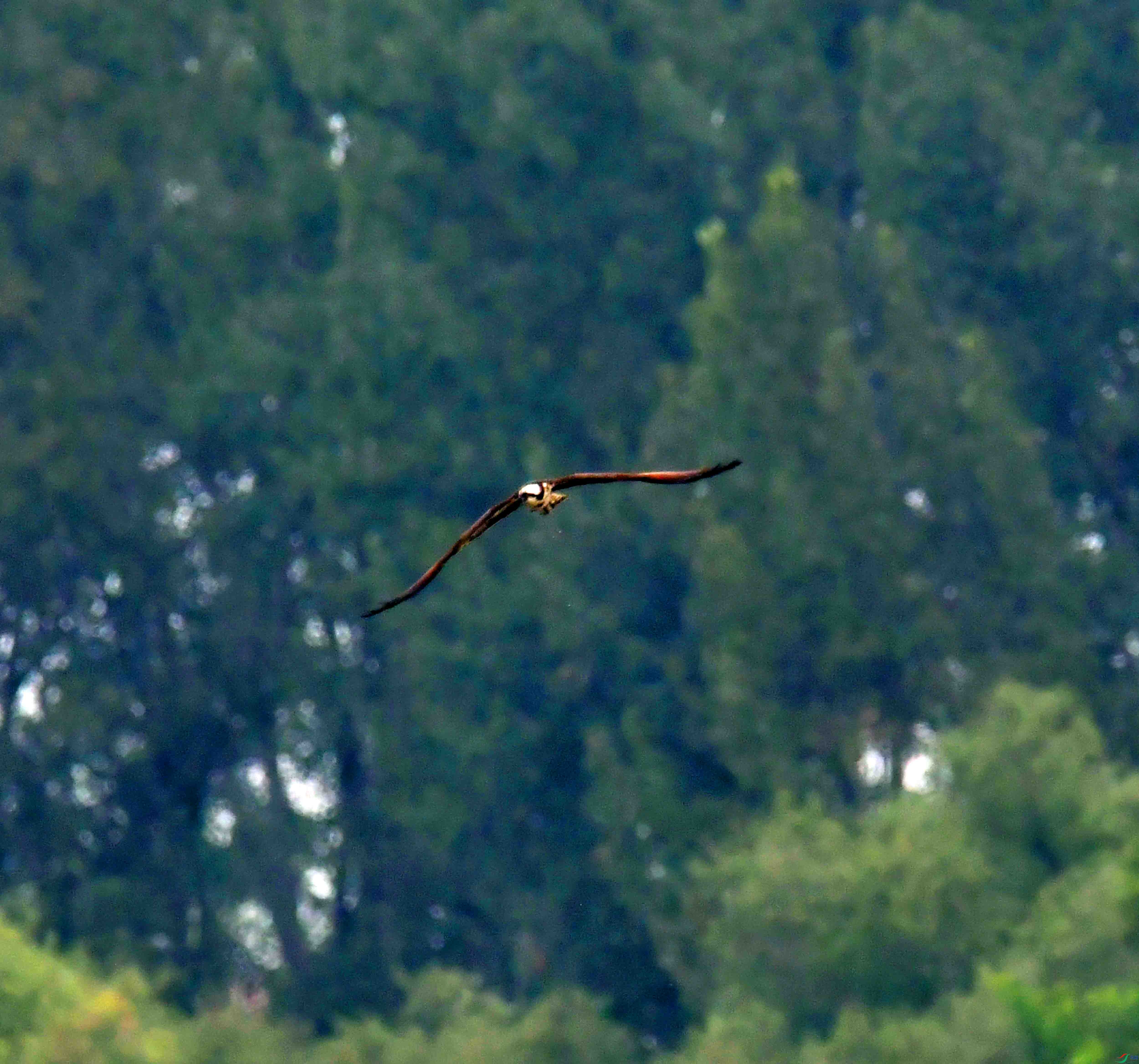 DSC_9383.JPG