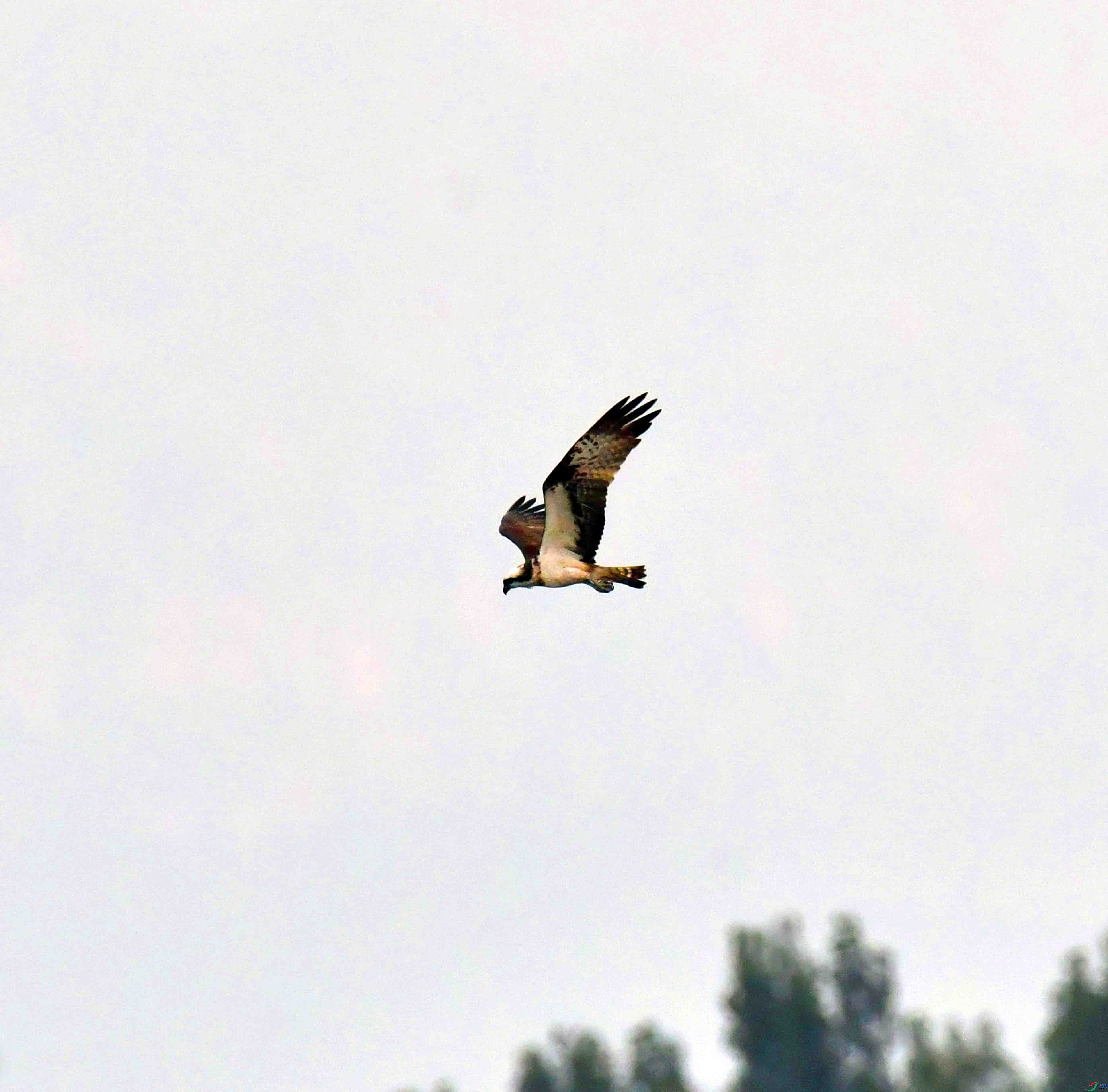 DSC_9392.JPG