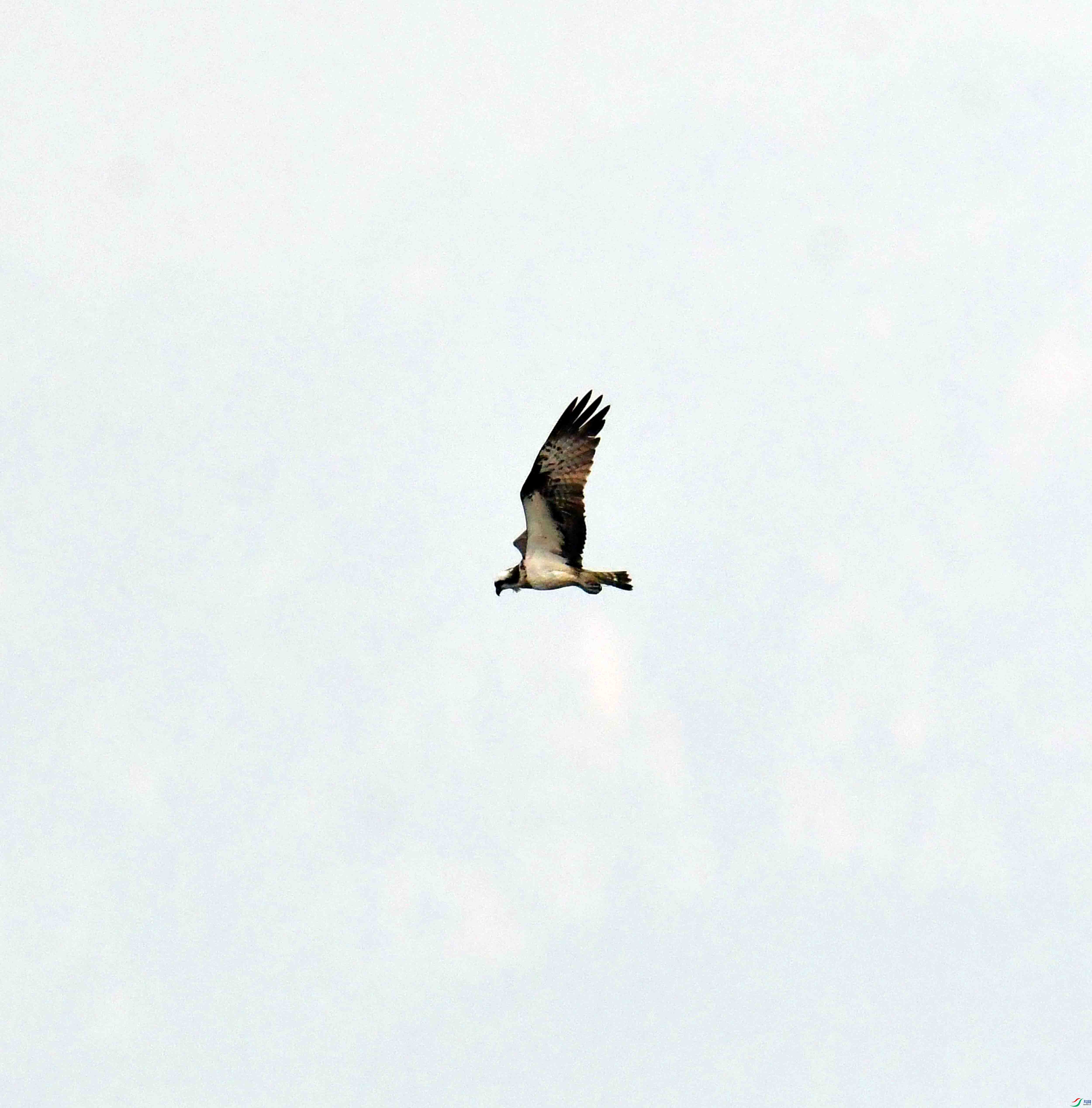 DSC_9393.JPG