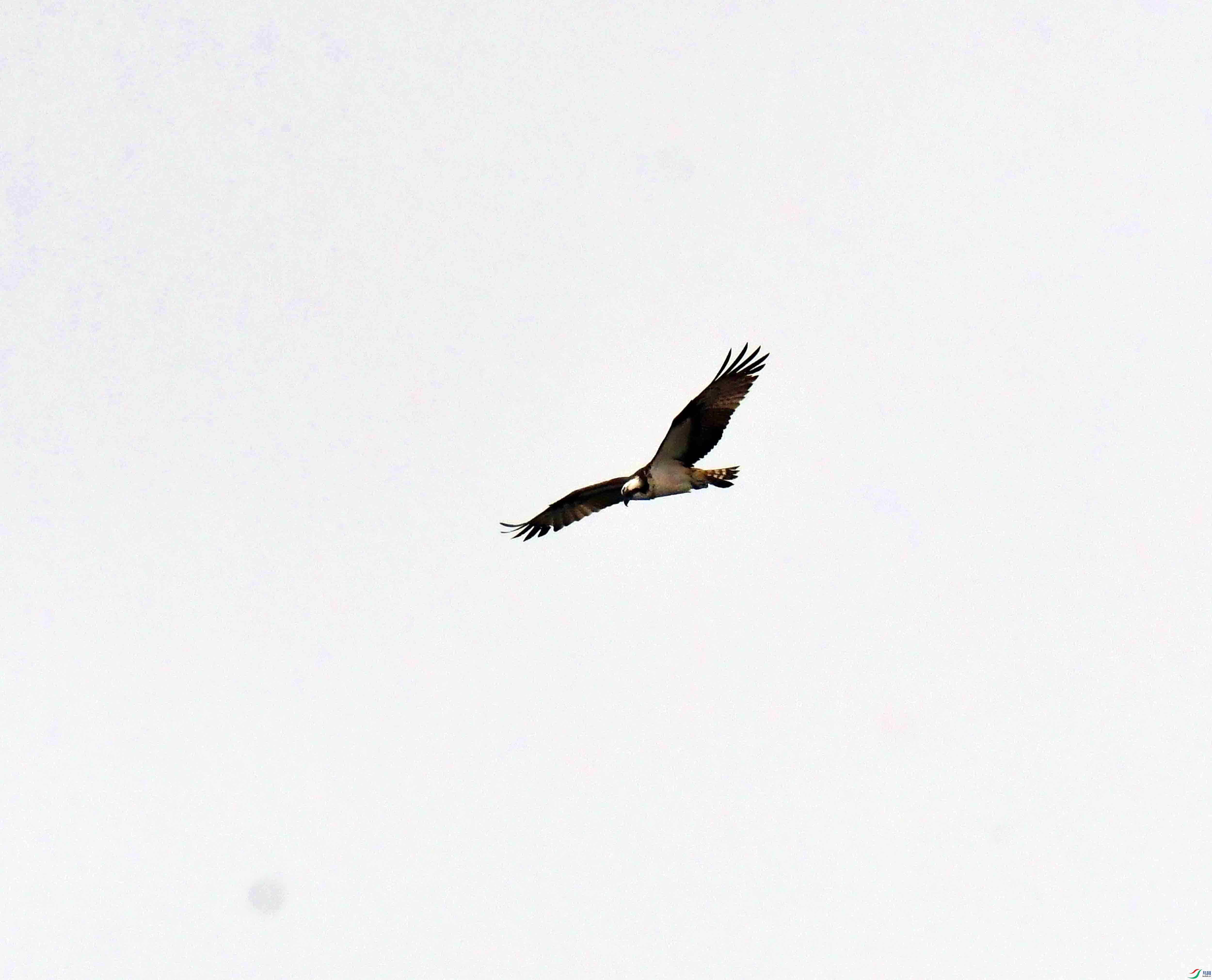 DSC_9470.JPG