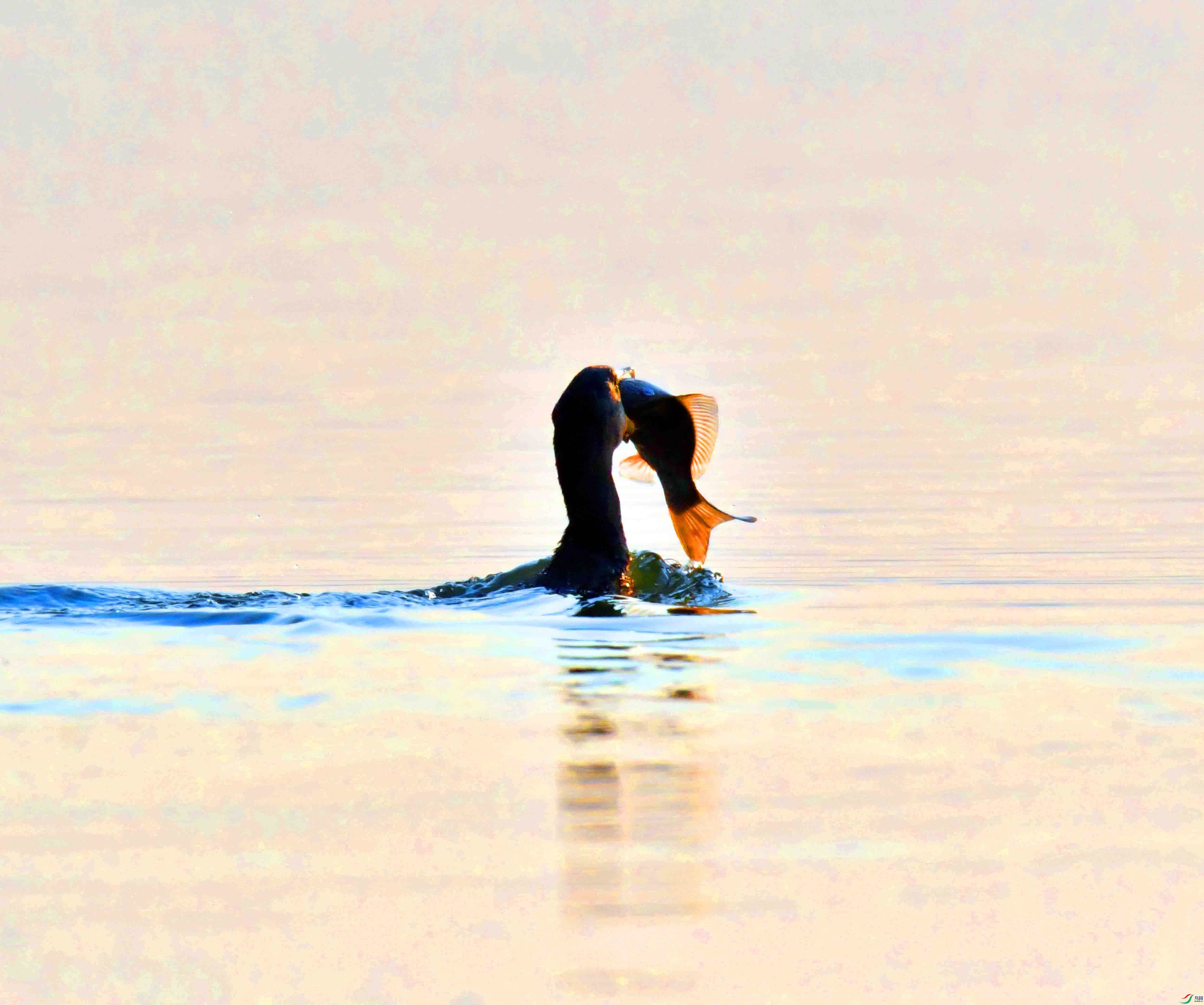 DSC_5885.JPG