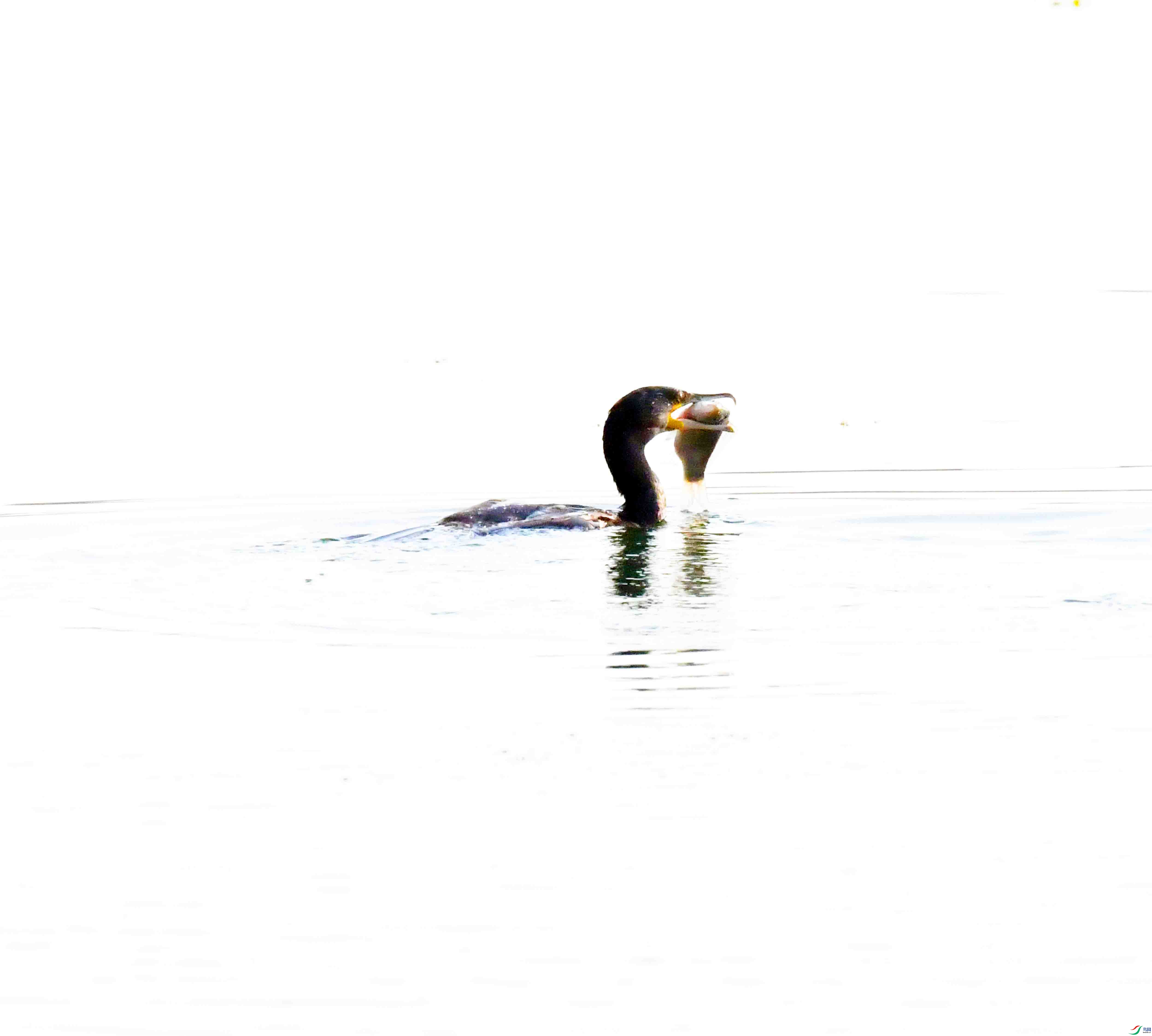DSC_6476.JPG
