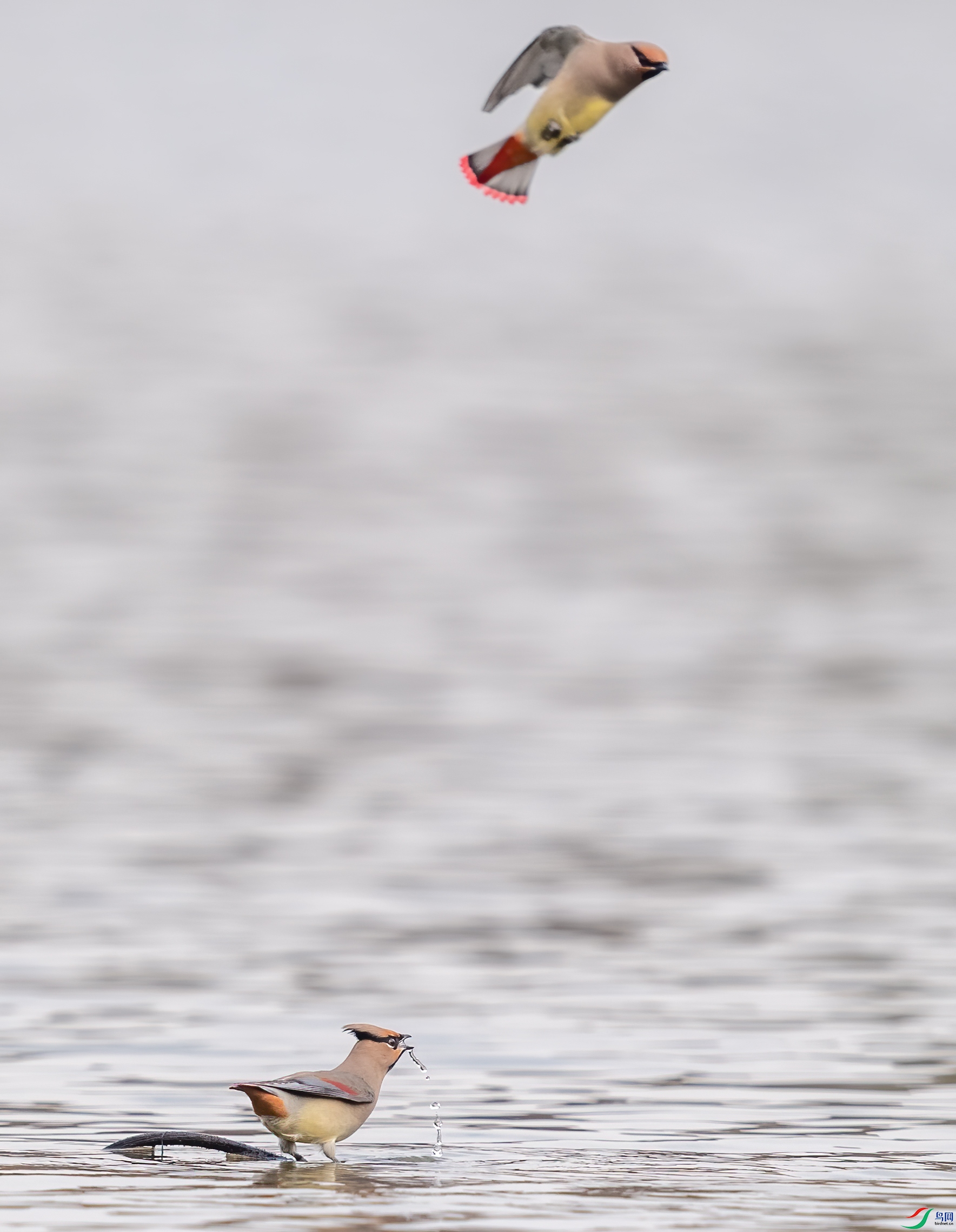 DSC_5626-1.jpg