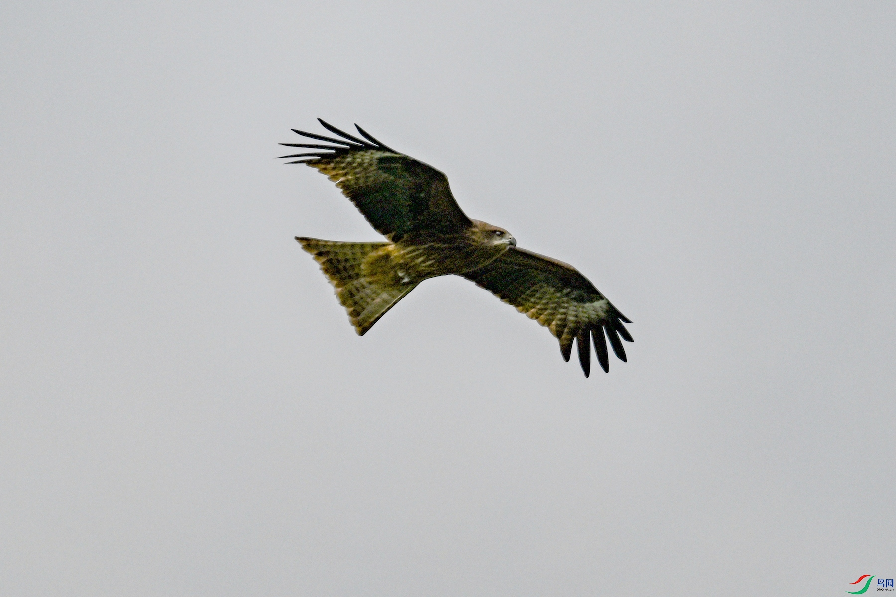 DSC_5862.JPG