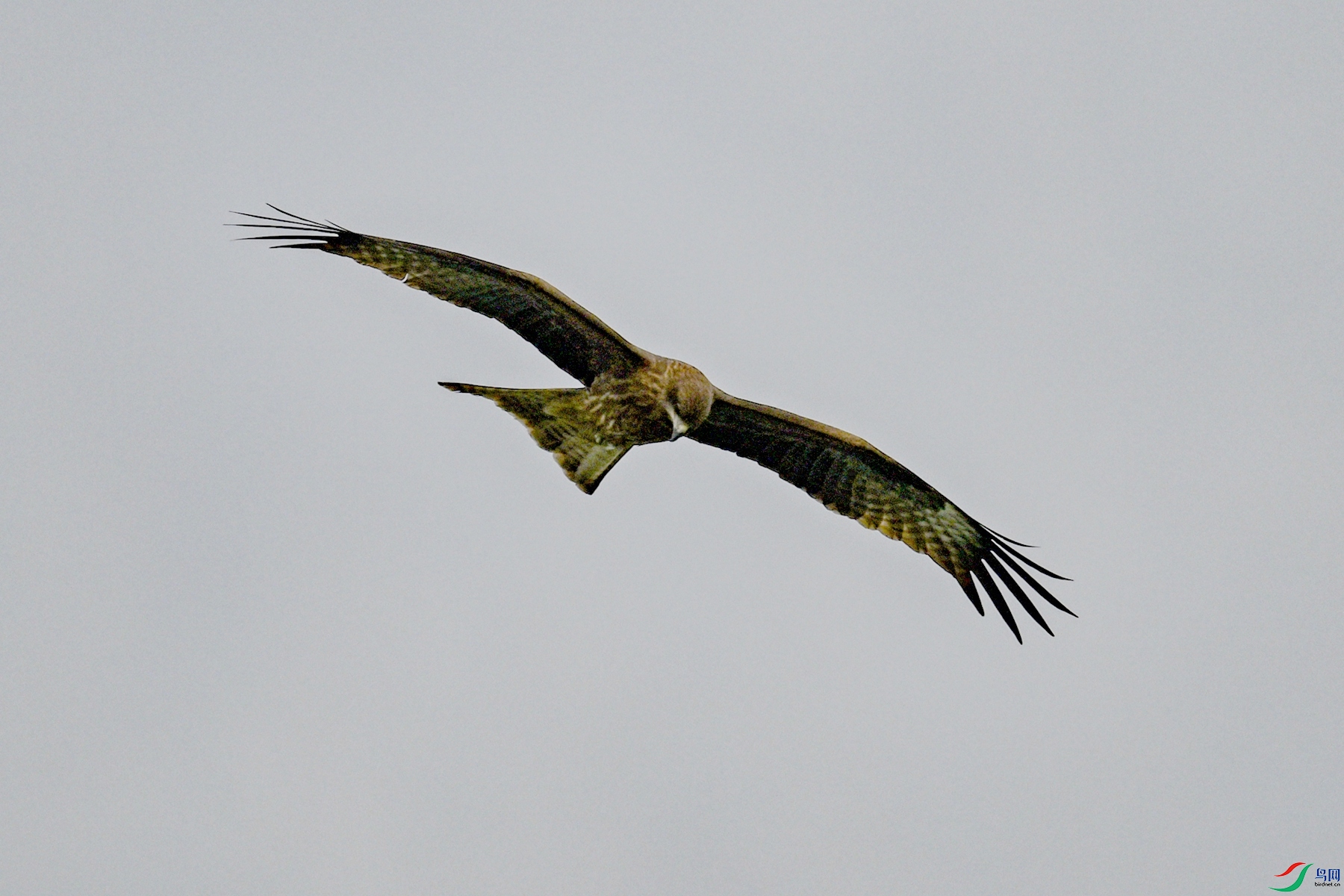 DSC_5859.JPG