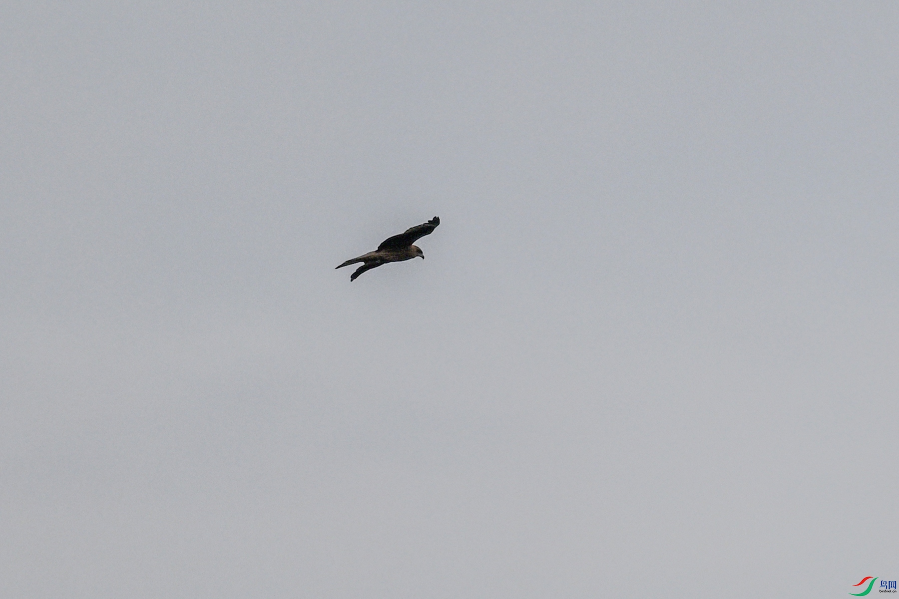 DSC_5829.JPG
