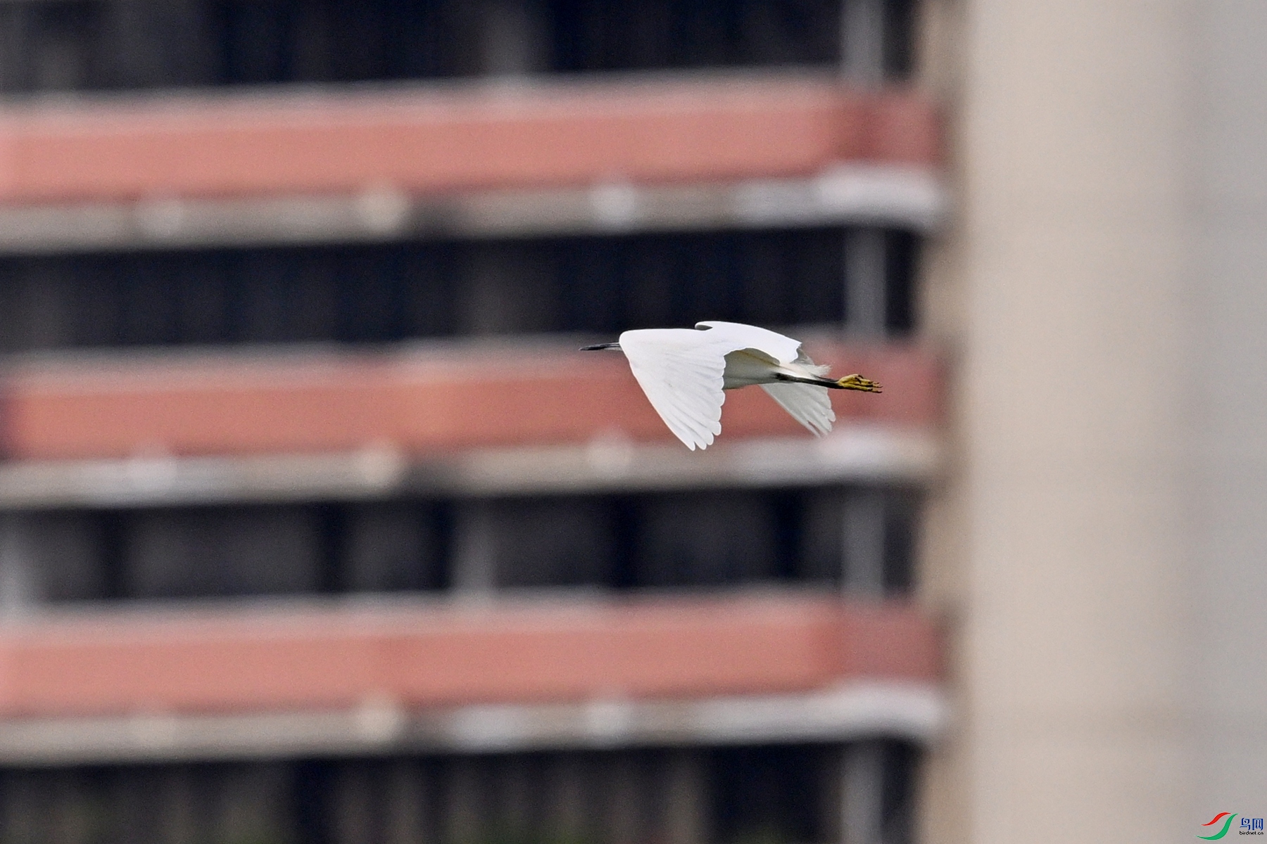 DSC_5839.JPG