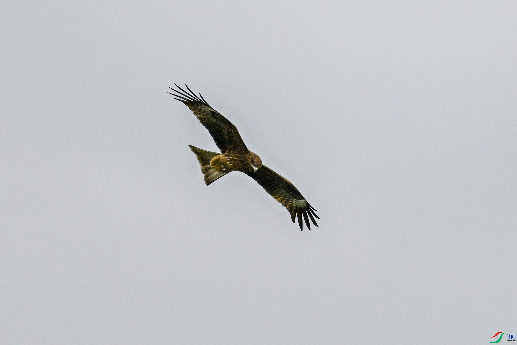 DSC_5848.JPG