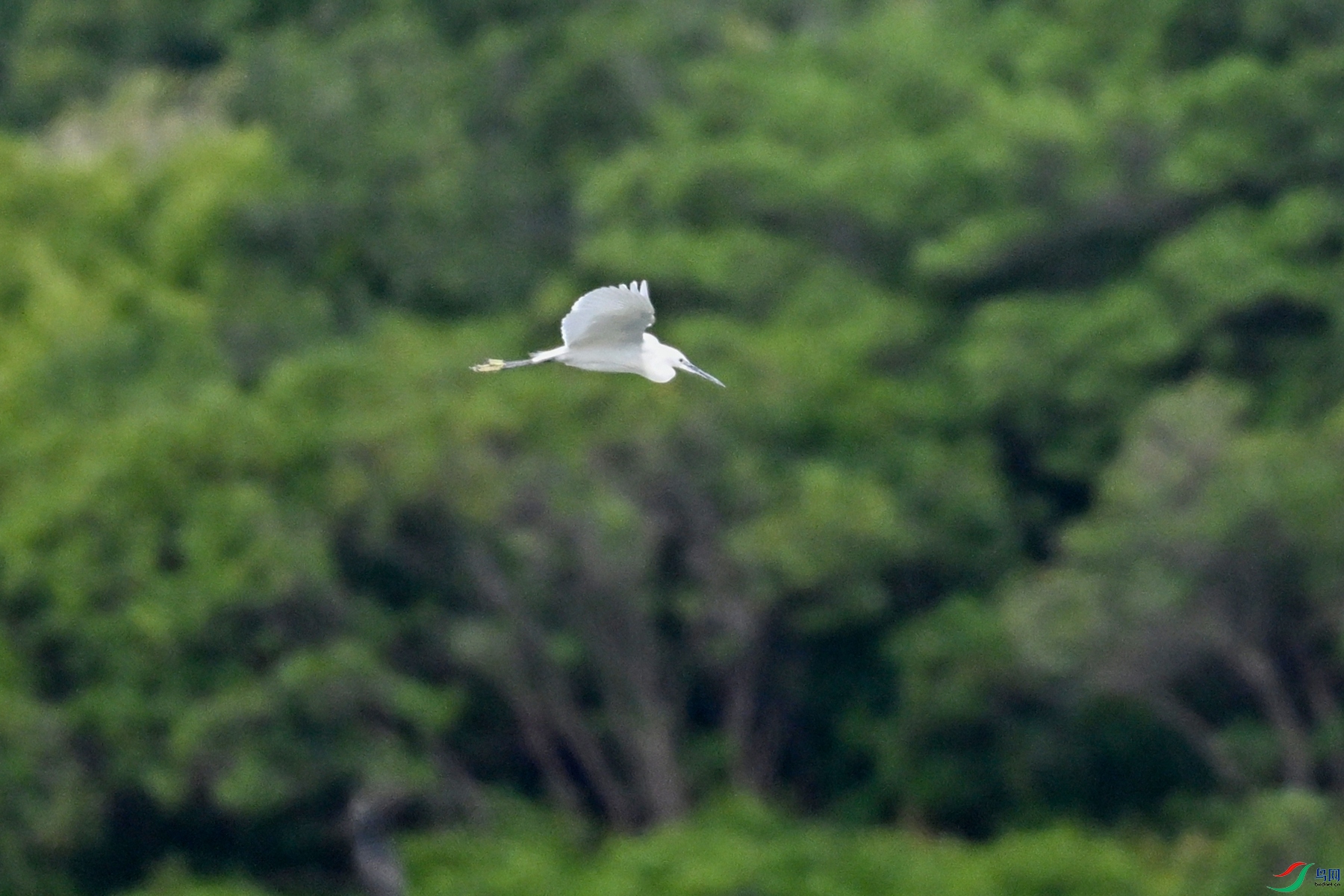 DSC_5816.JPG