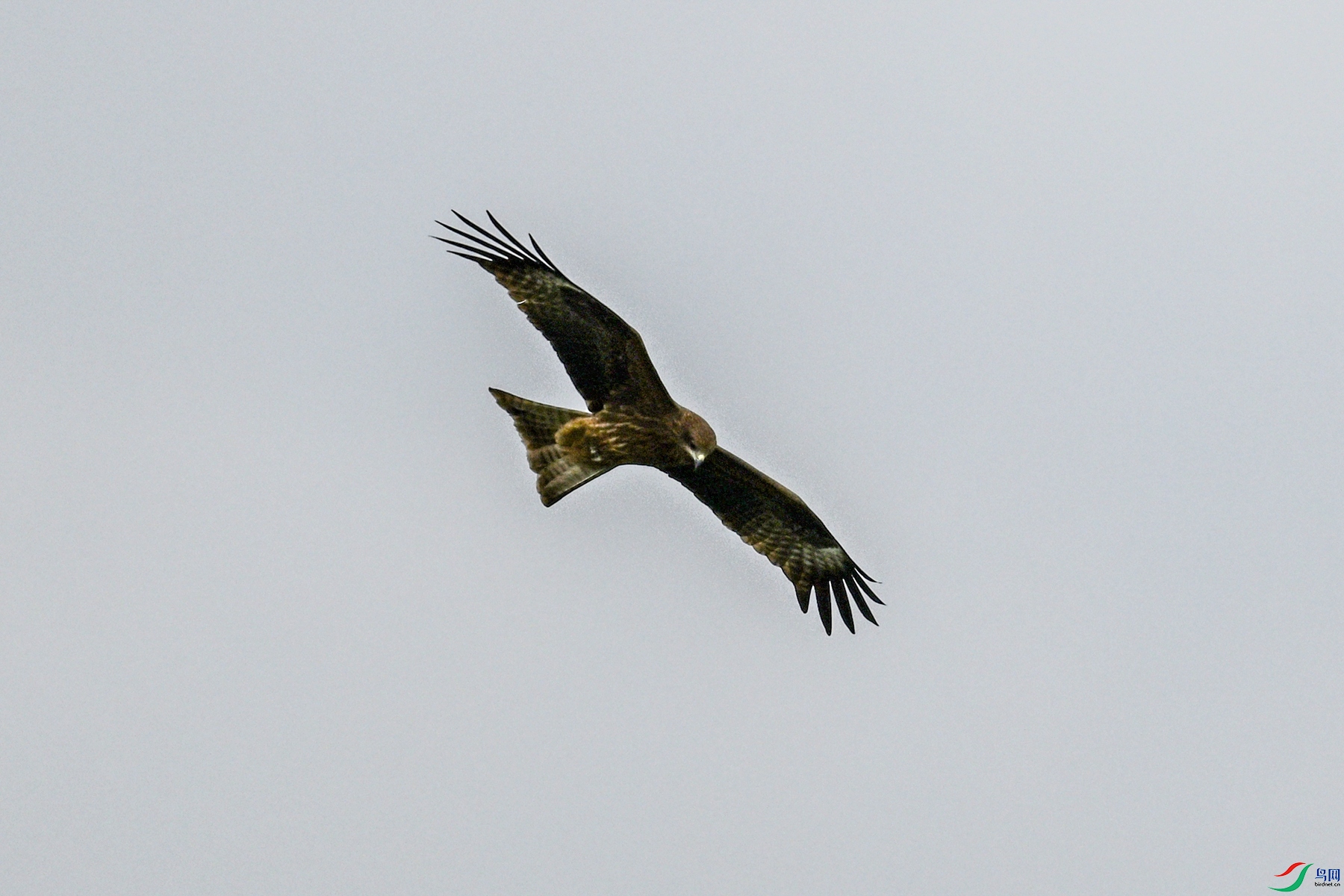 DSC_5849.JPG
