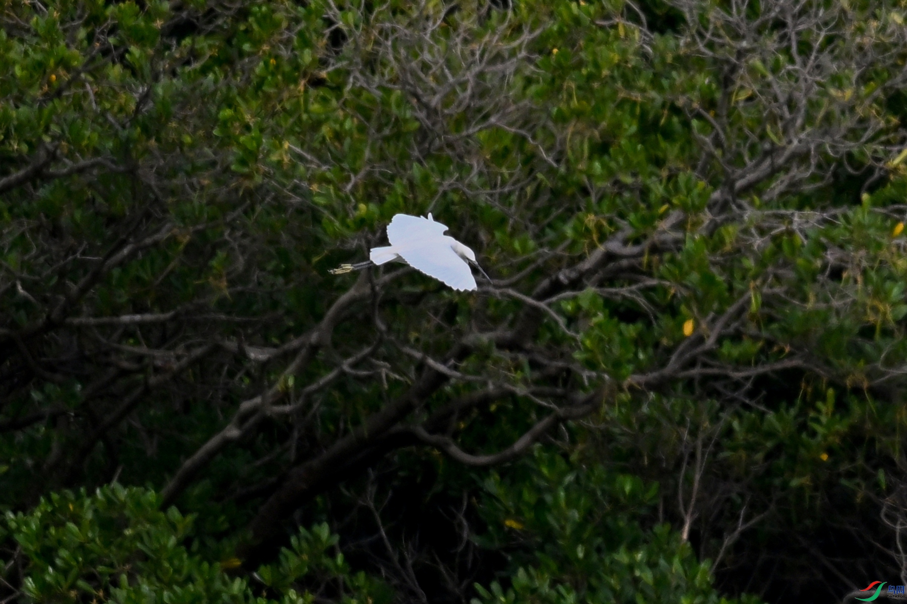 DSC_5817.JPG