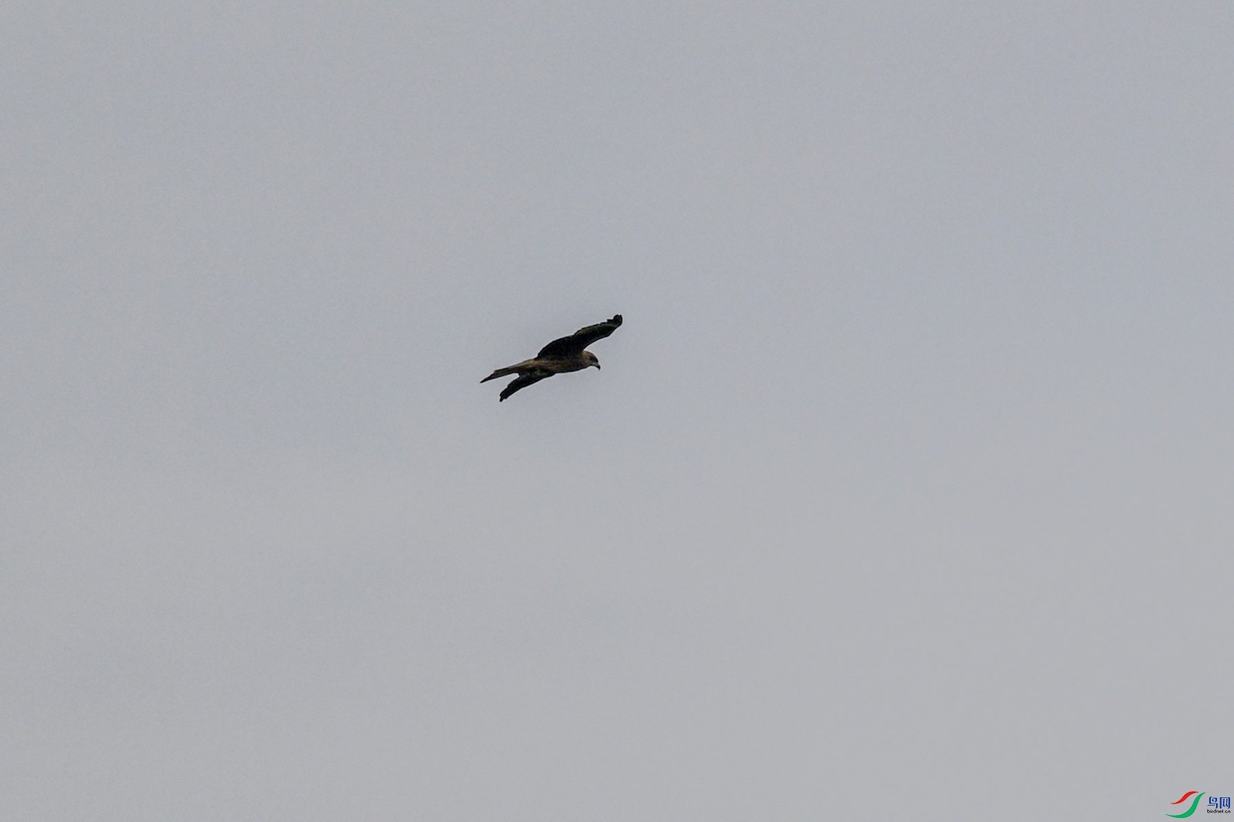 DSC_5830.JPG