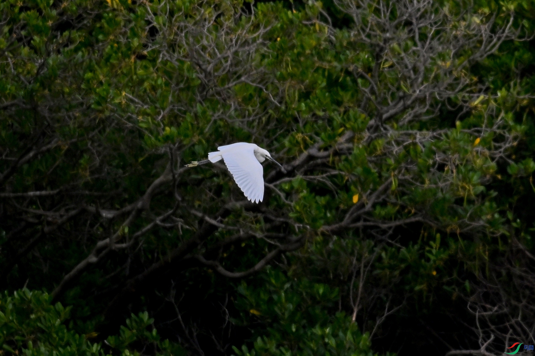 DSC_5818.JPG