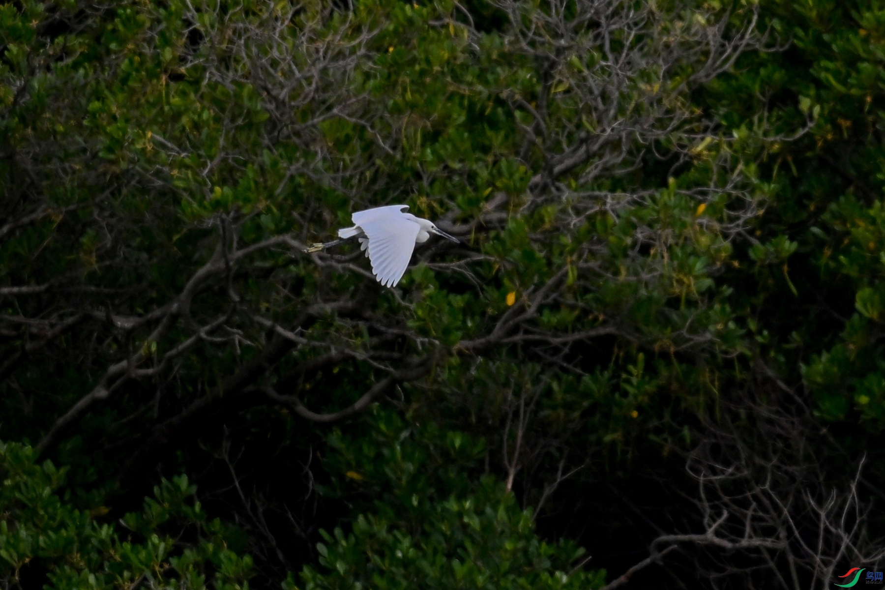 DSC_5819.JPG