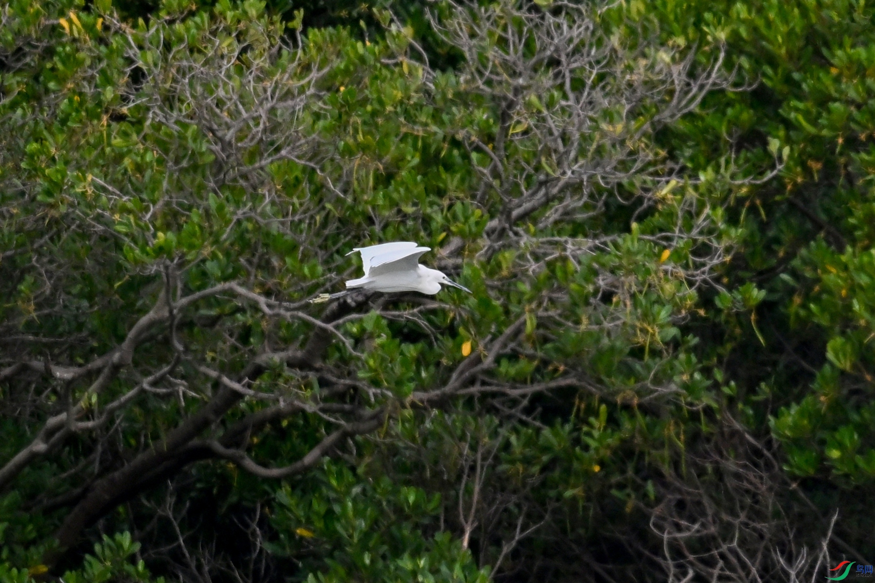DSC_5820.JPG