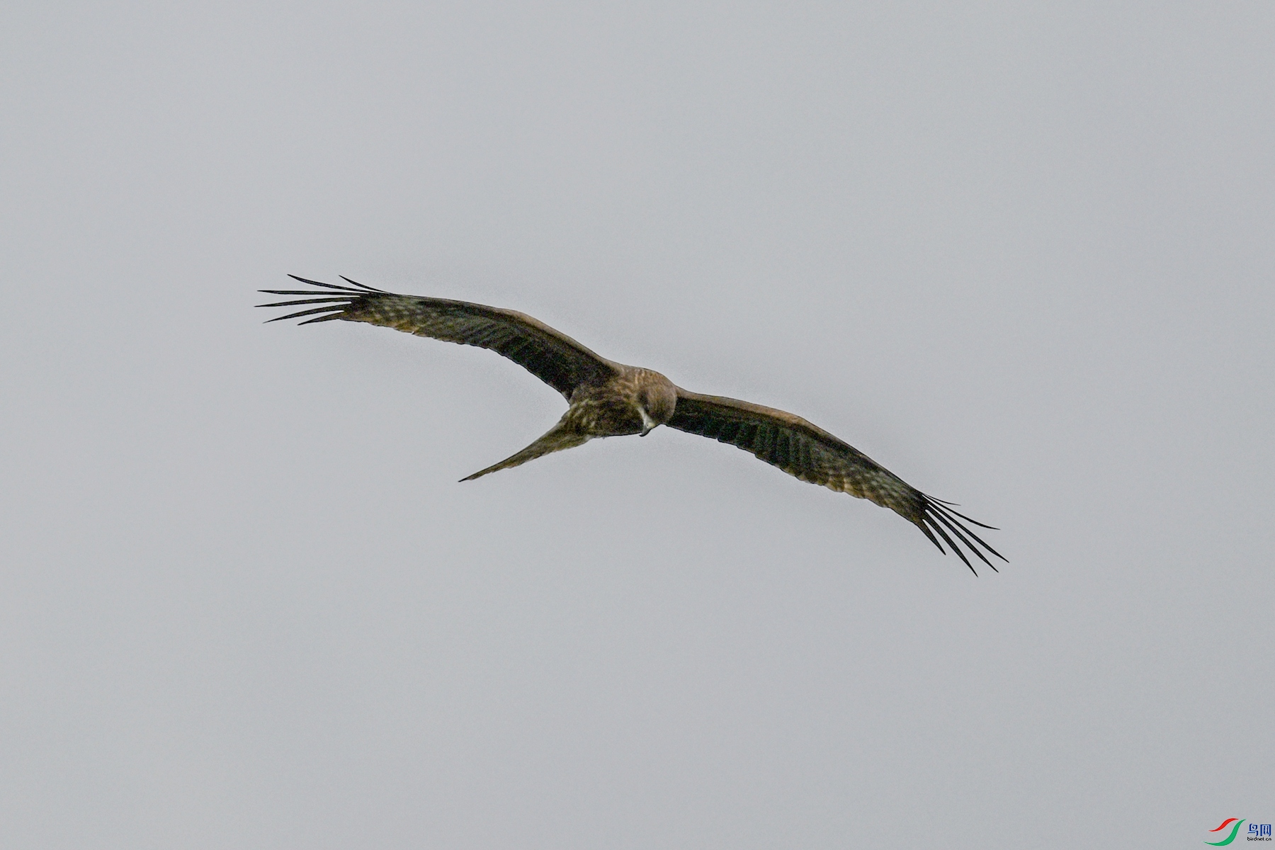 DSC_5856.JPG