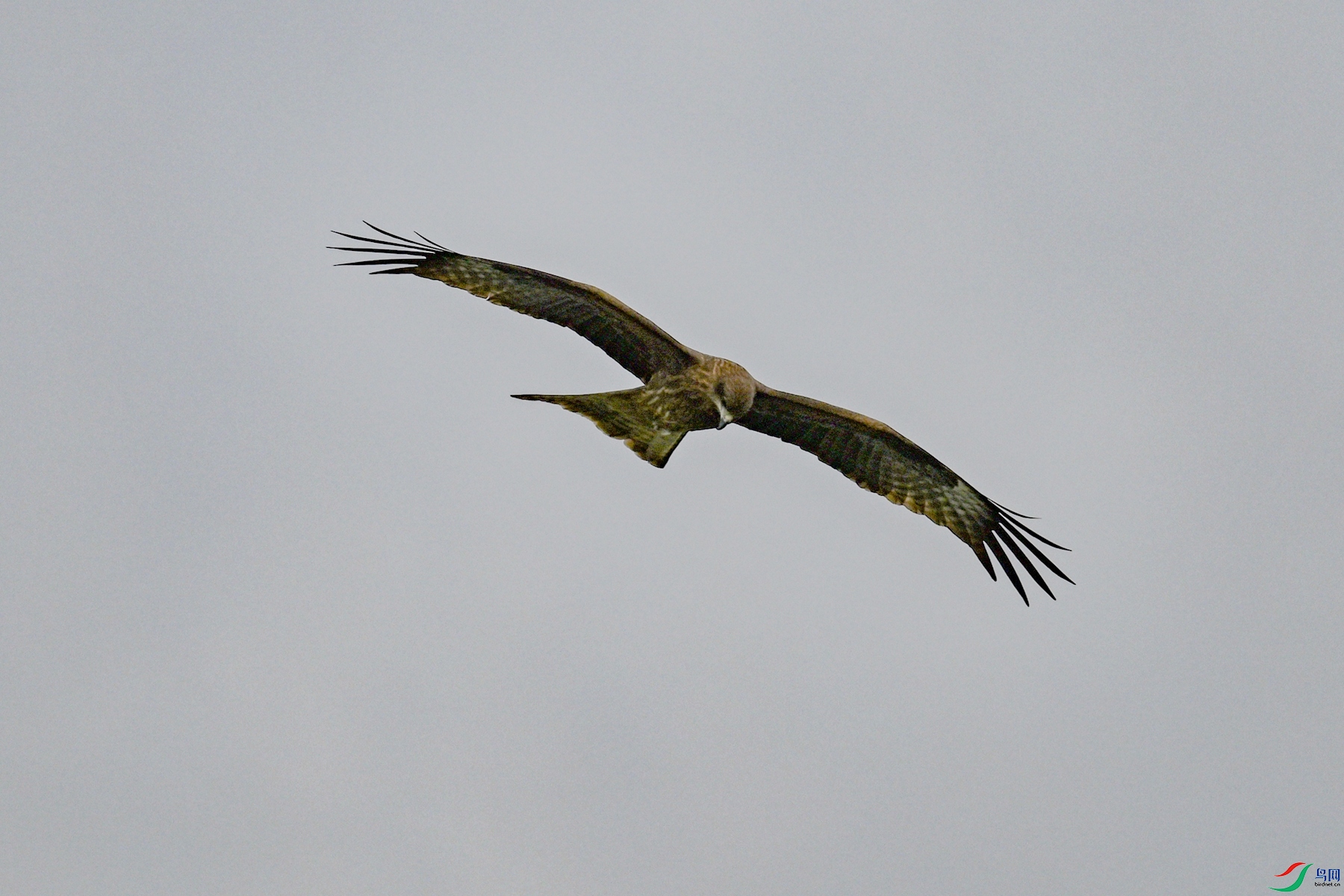DSC_5858.JPG