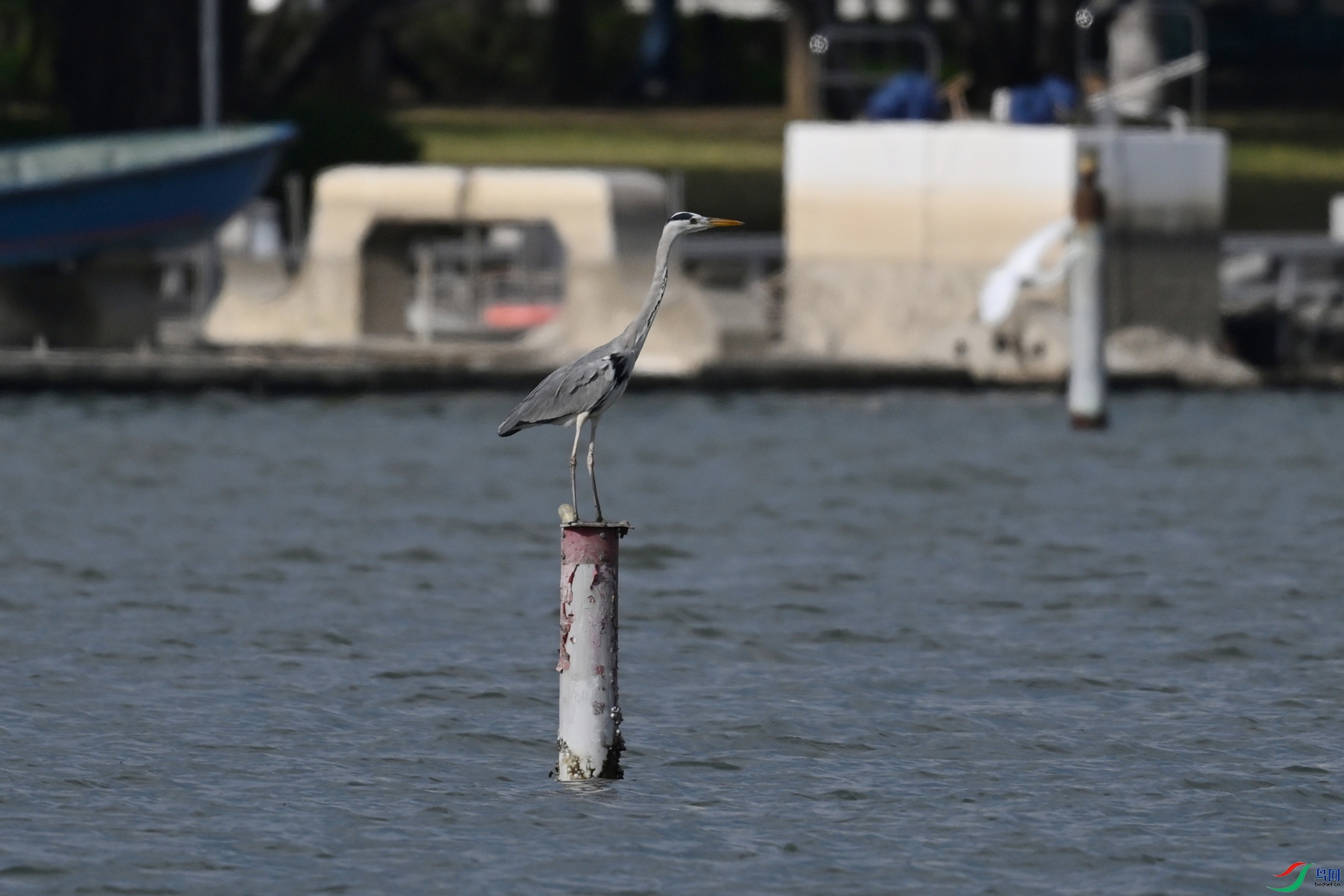 DSC_5822.JPG