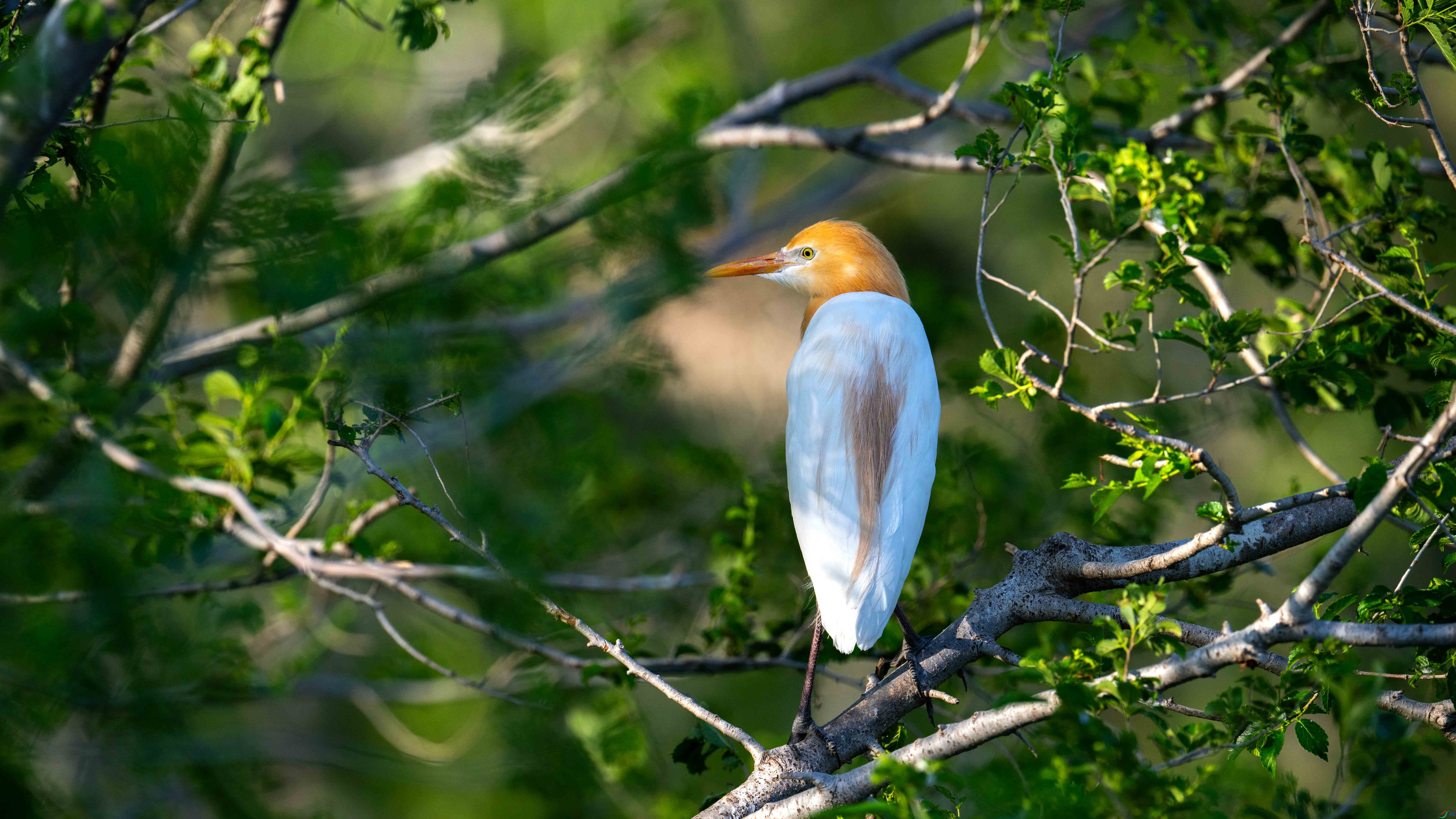 DSC_0063.jpg