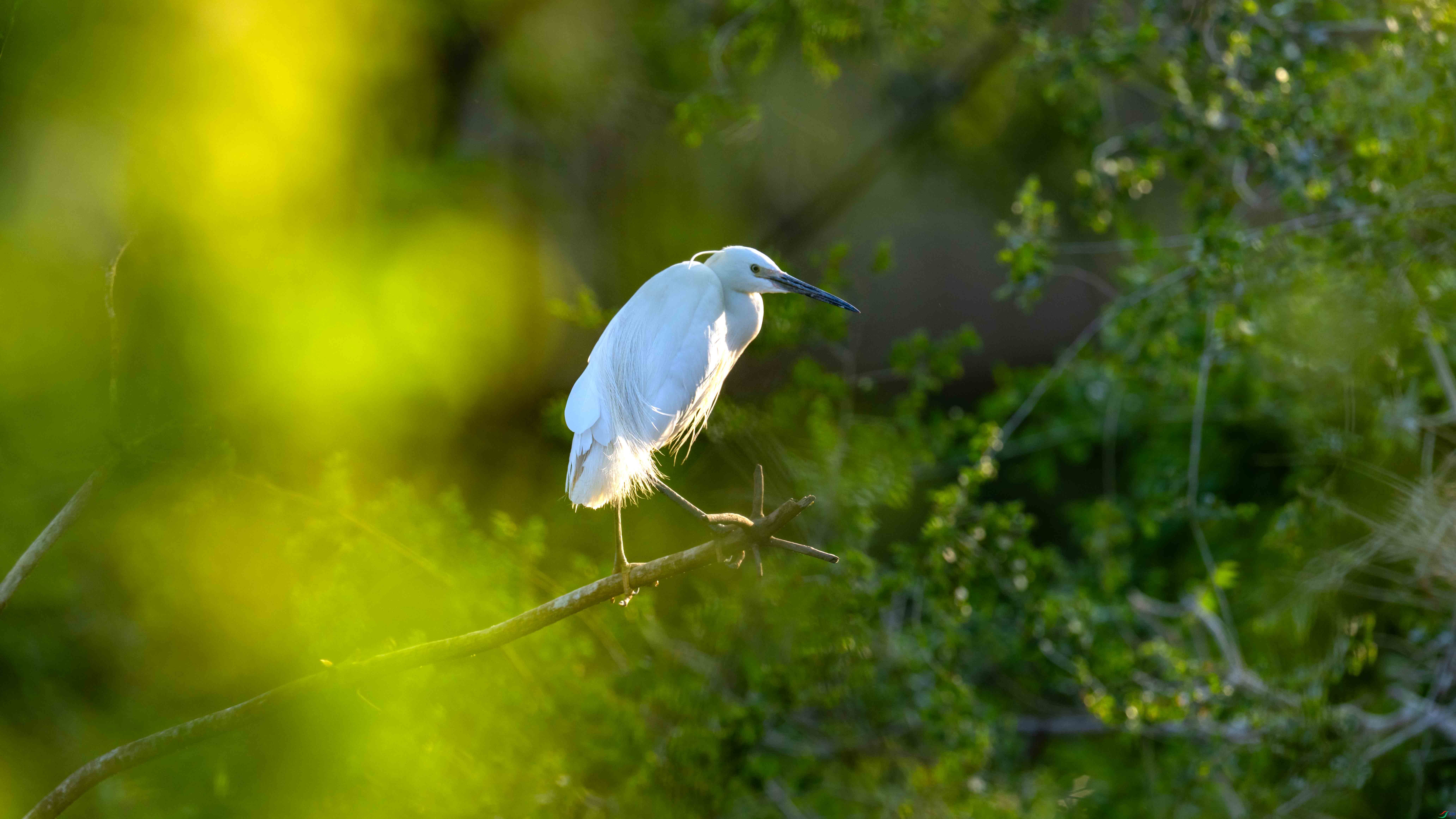 DSC_0207 - ����.jpg