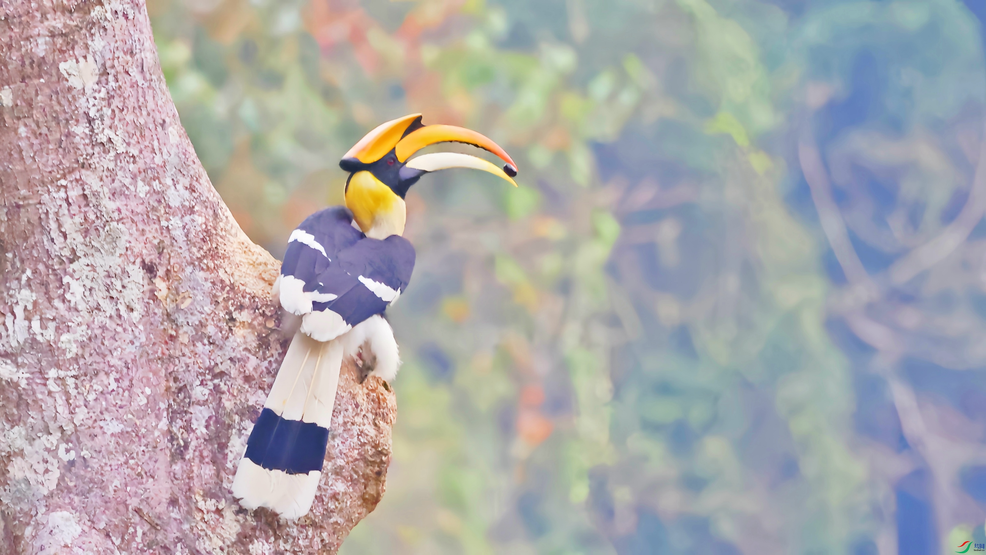 2F6A0188_����.jpg