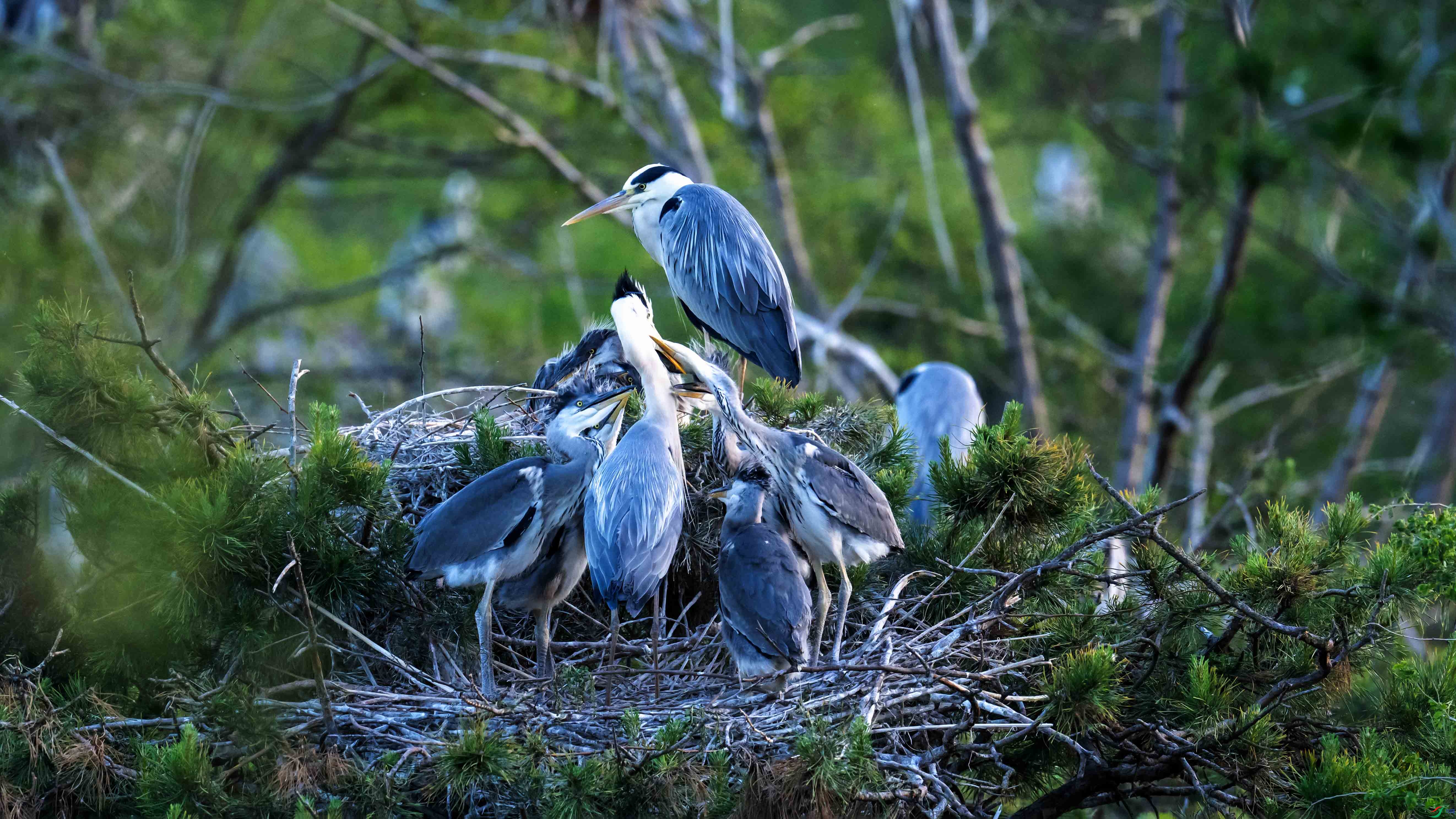 DSC_1053.jpg
