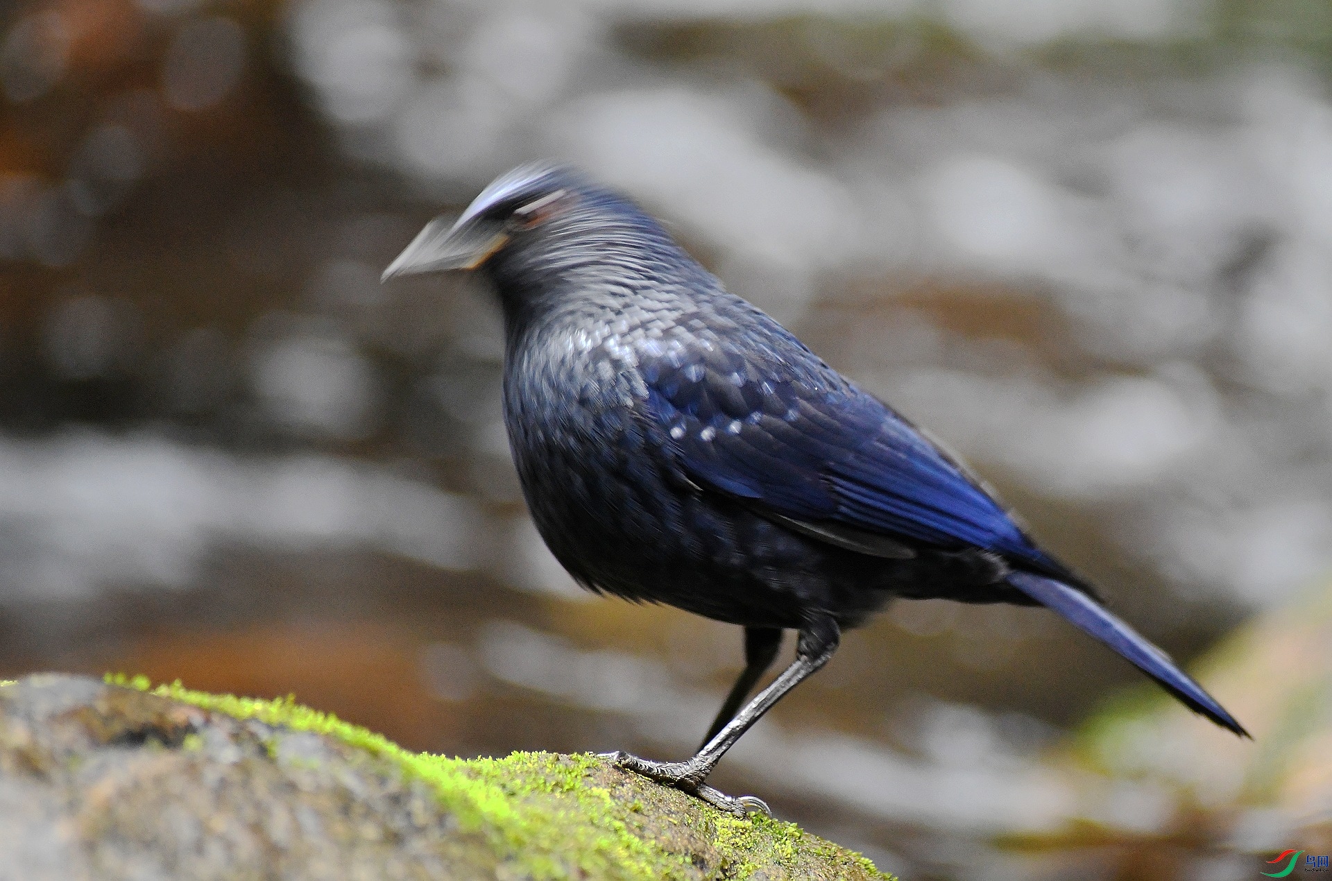 DSC_4544.jpg