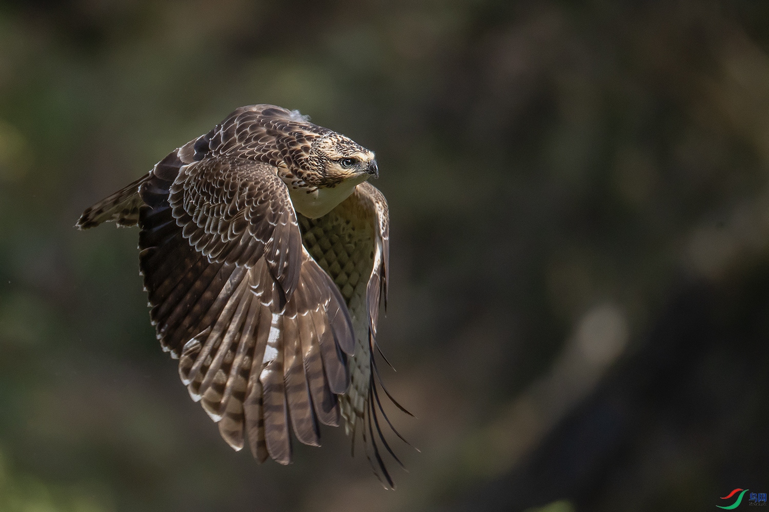 BC9I2918 ����.jpg