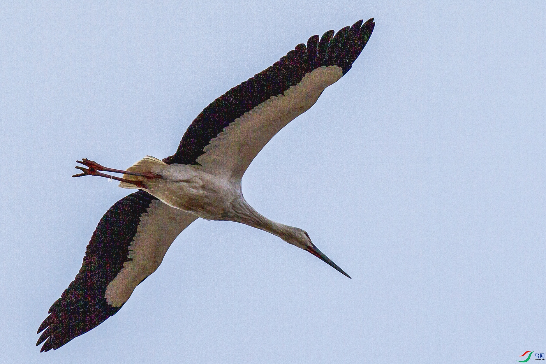 _MG_0919 ����.jpg