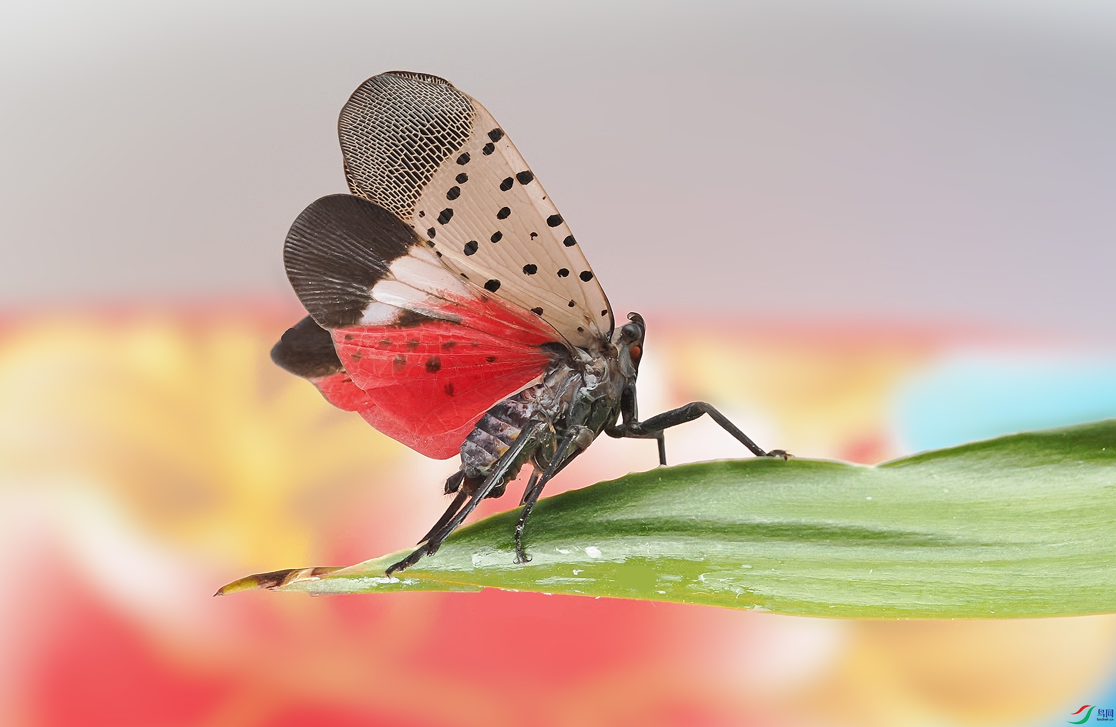 P7210002 ����.jpg