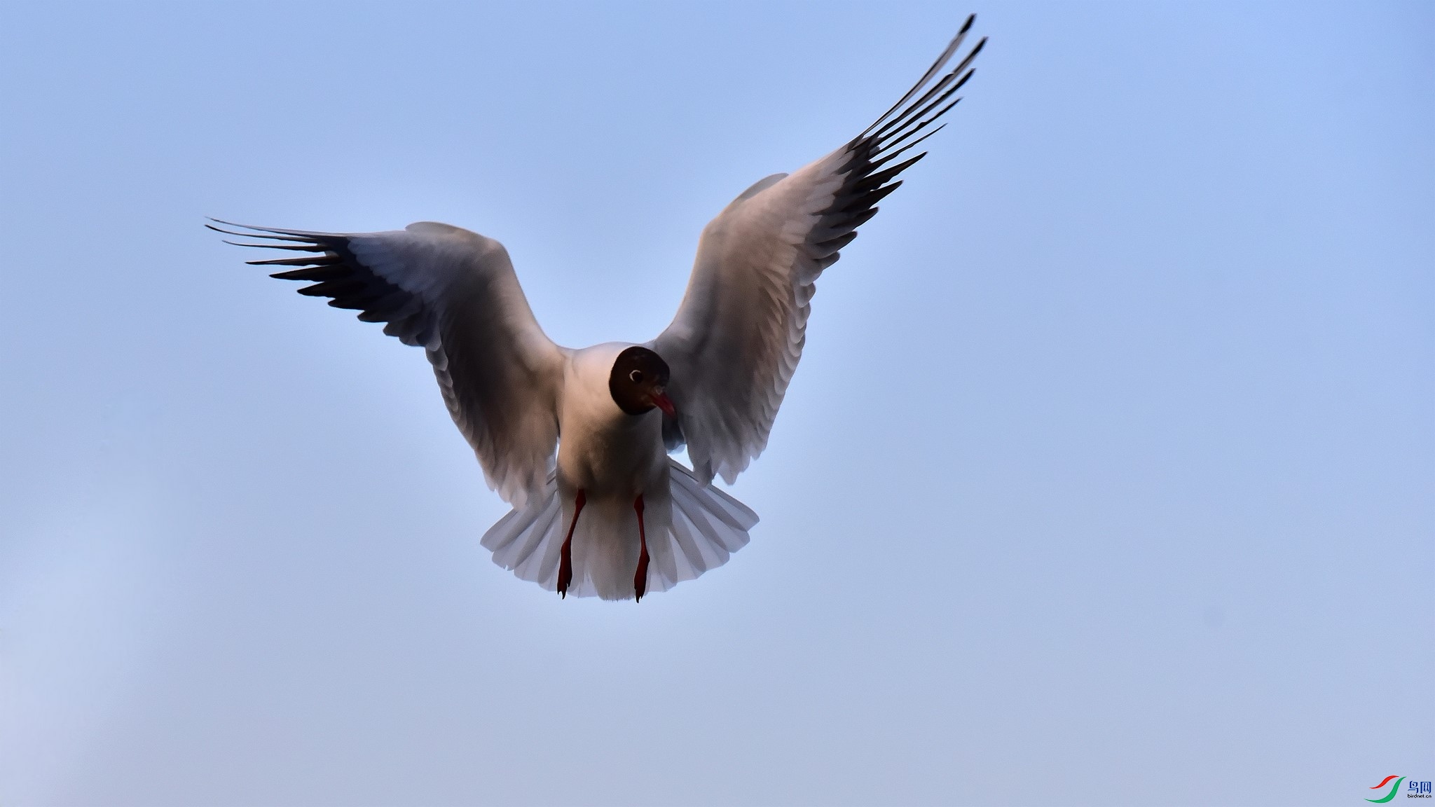 ΢��ͼƬ_20251217131443_12_98 - 2K JPEG.jpg