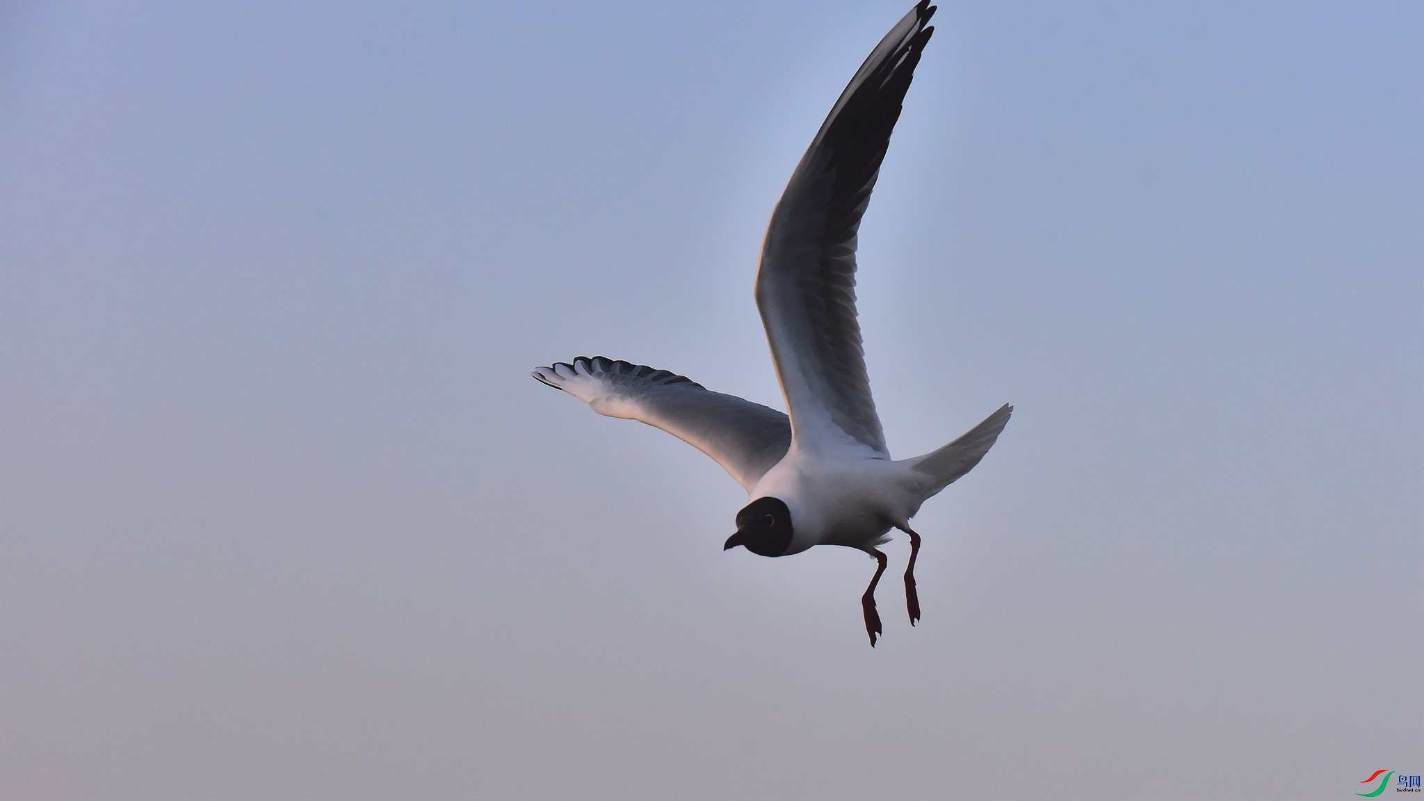 ΢��ͼƬ_20251217131631_15_98 - 2K JPEG.jpg