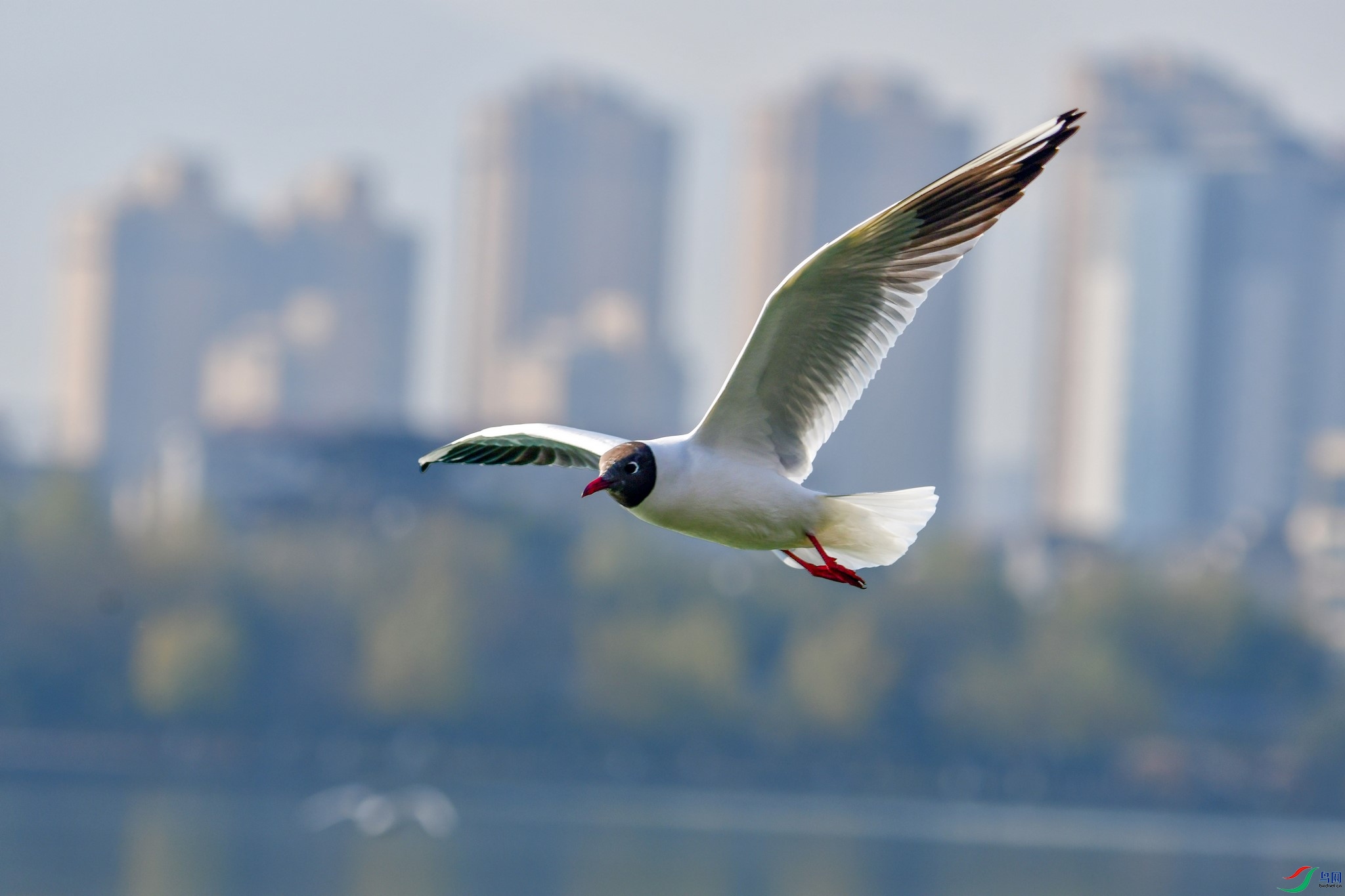 DSC_2995 ����2  - 2K JPEG.jpg