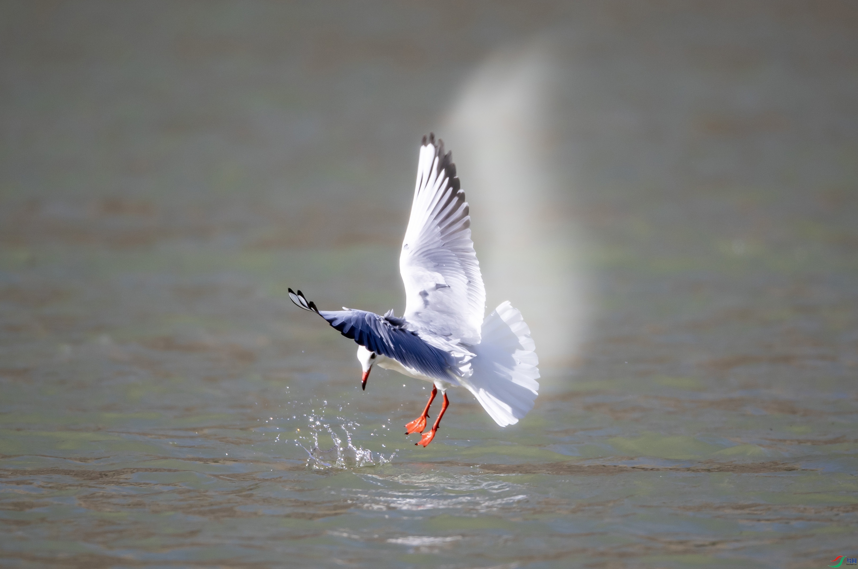 B26I7891 ����Ÿ002.jpg