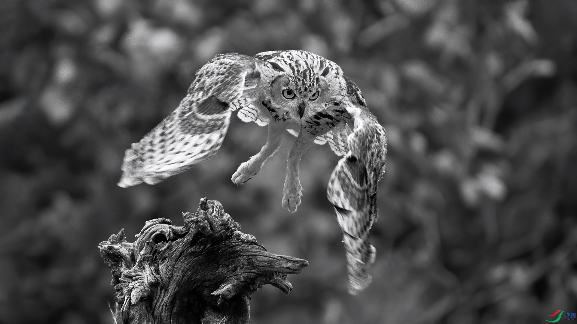 DSC_6233-2-20240906 �� .jpg