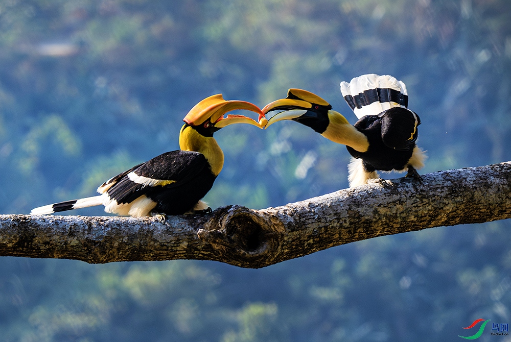 DSC_2648-����ǿ-NR�׶��� ����.jpg