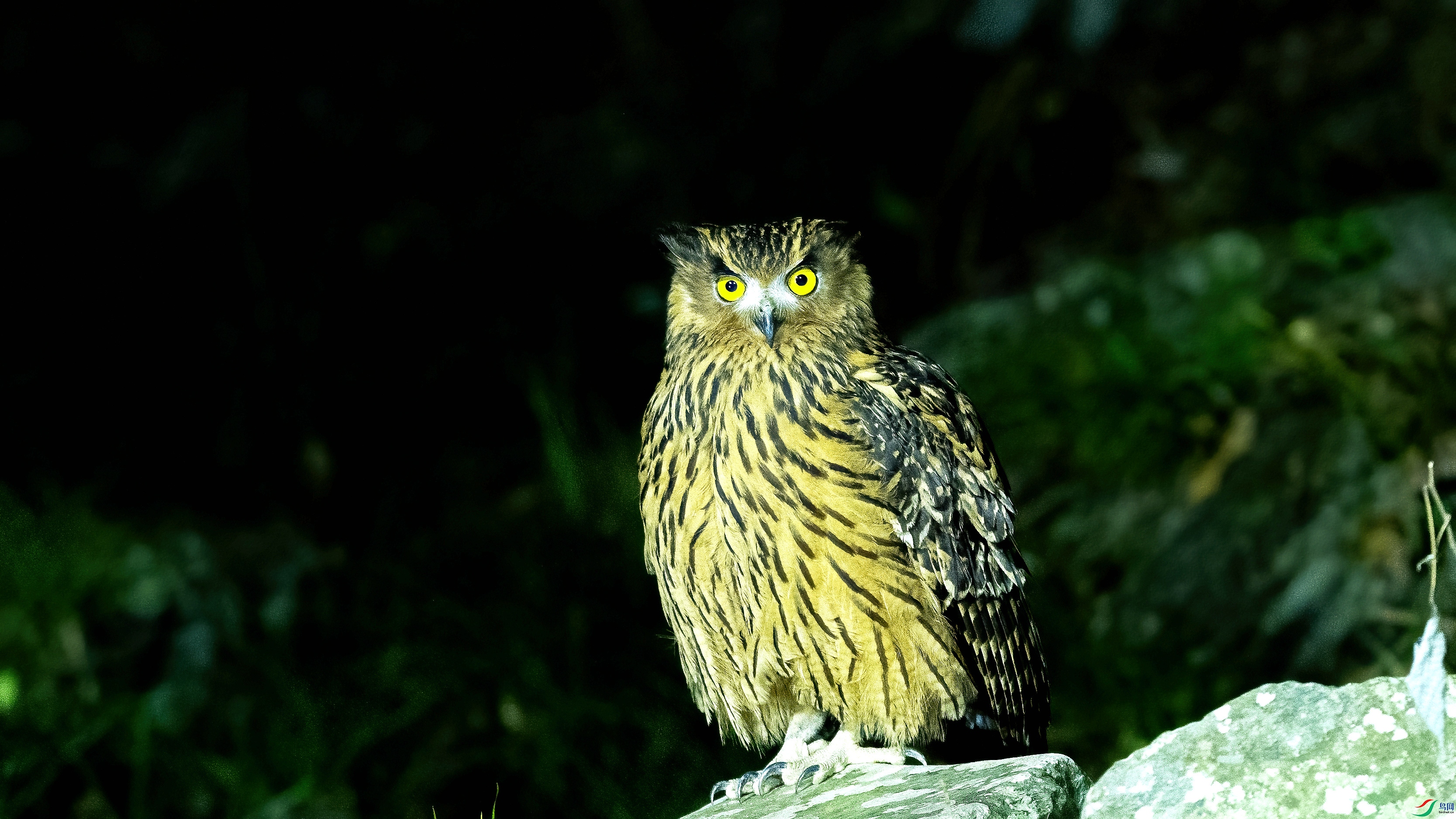 DSC_7997.jpg