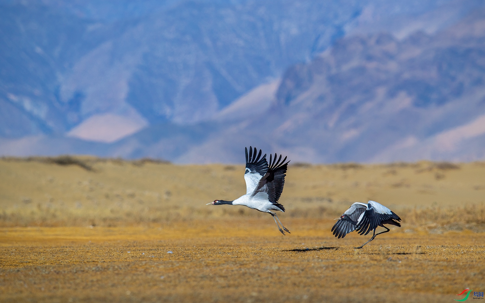 DSC_1054 ����.jpg