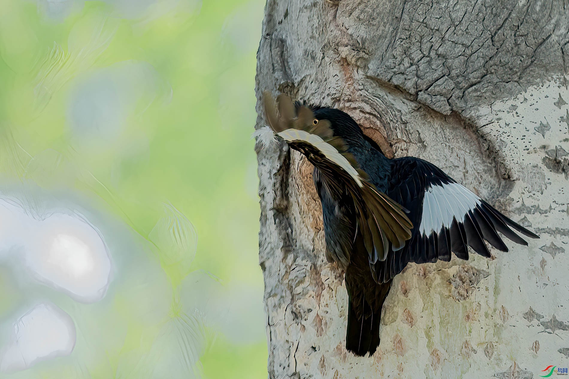AQ4P0229-1.jpg
