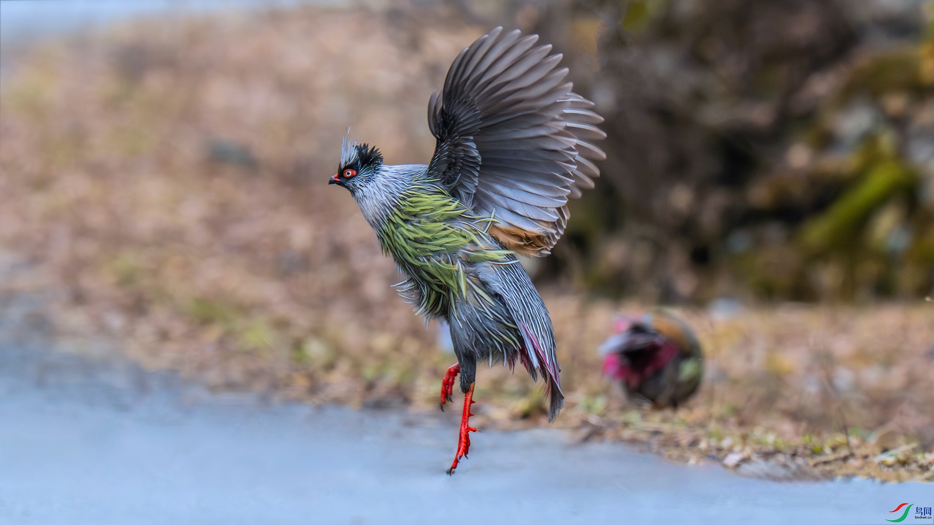 _DSC4251 ����_����.jpg