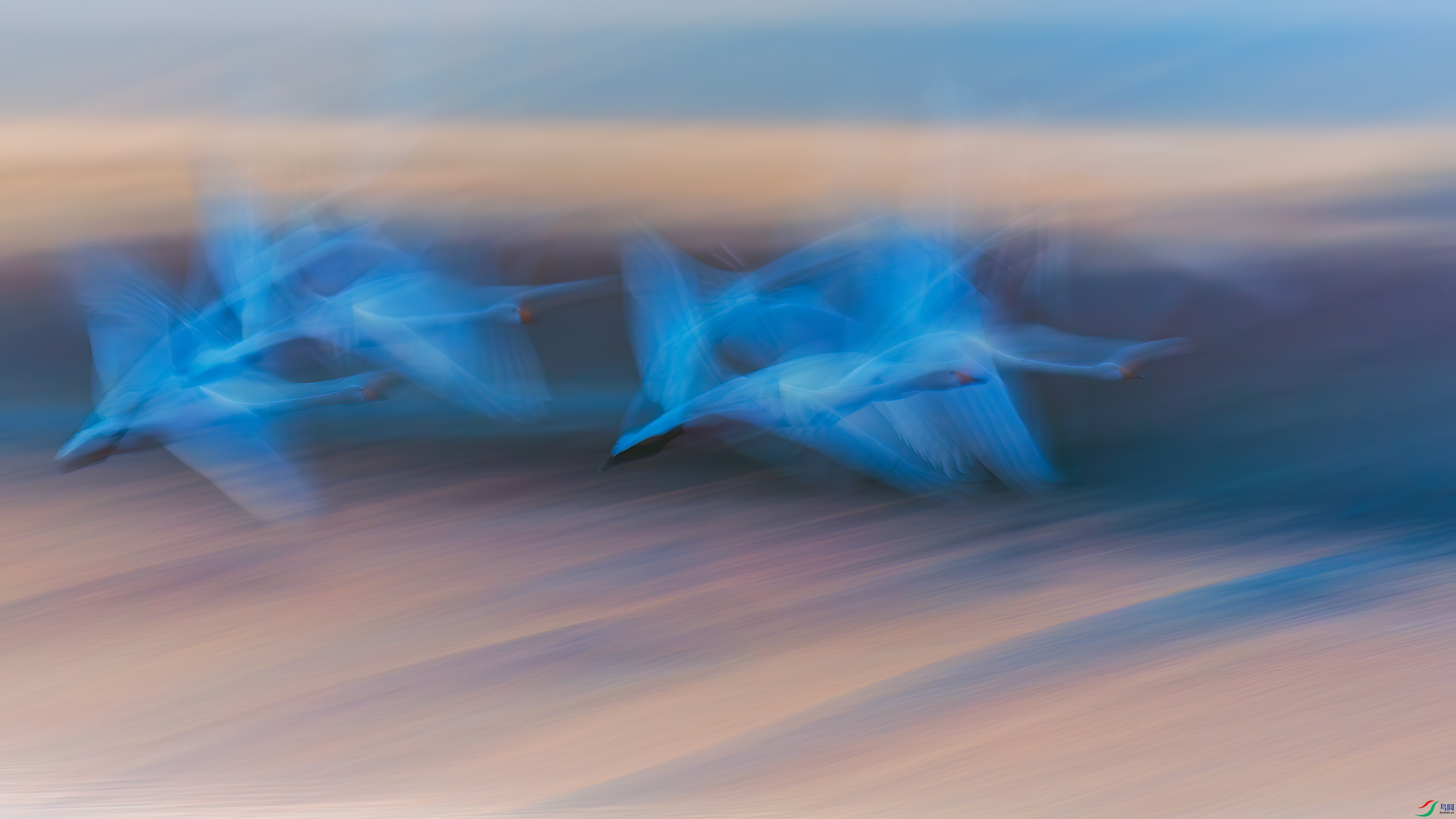 A30V6919-1��.jpg
