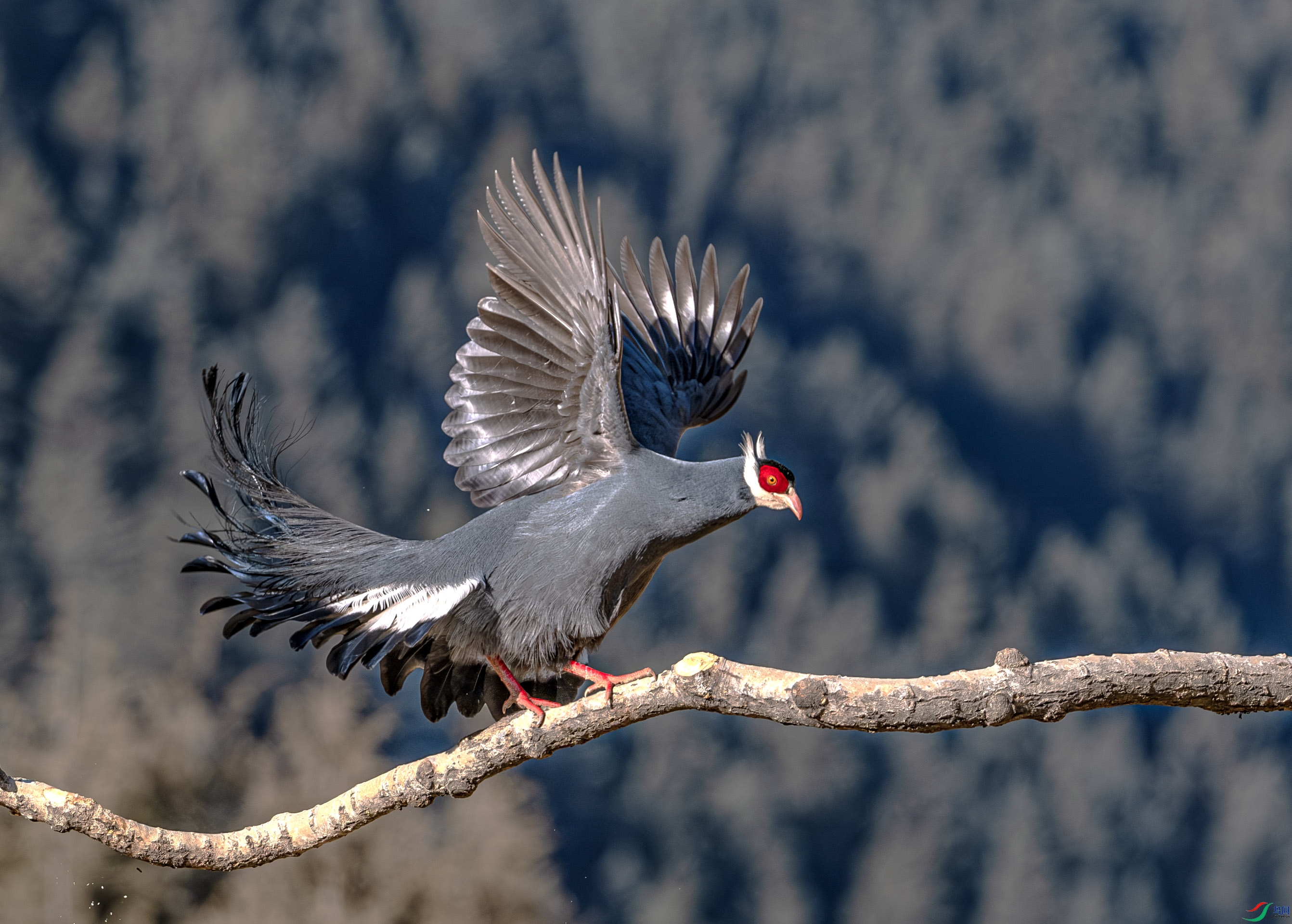 DSCF3443-����ǿ-NR ����.jpg