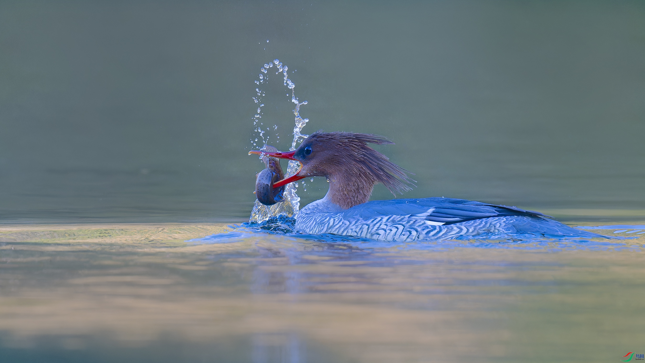 DSC_7935_DxO.jpg
