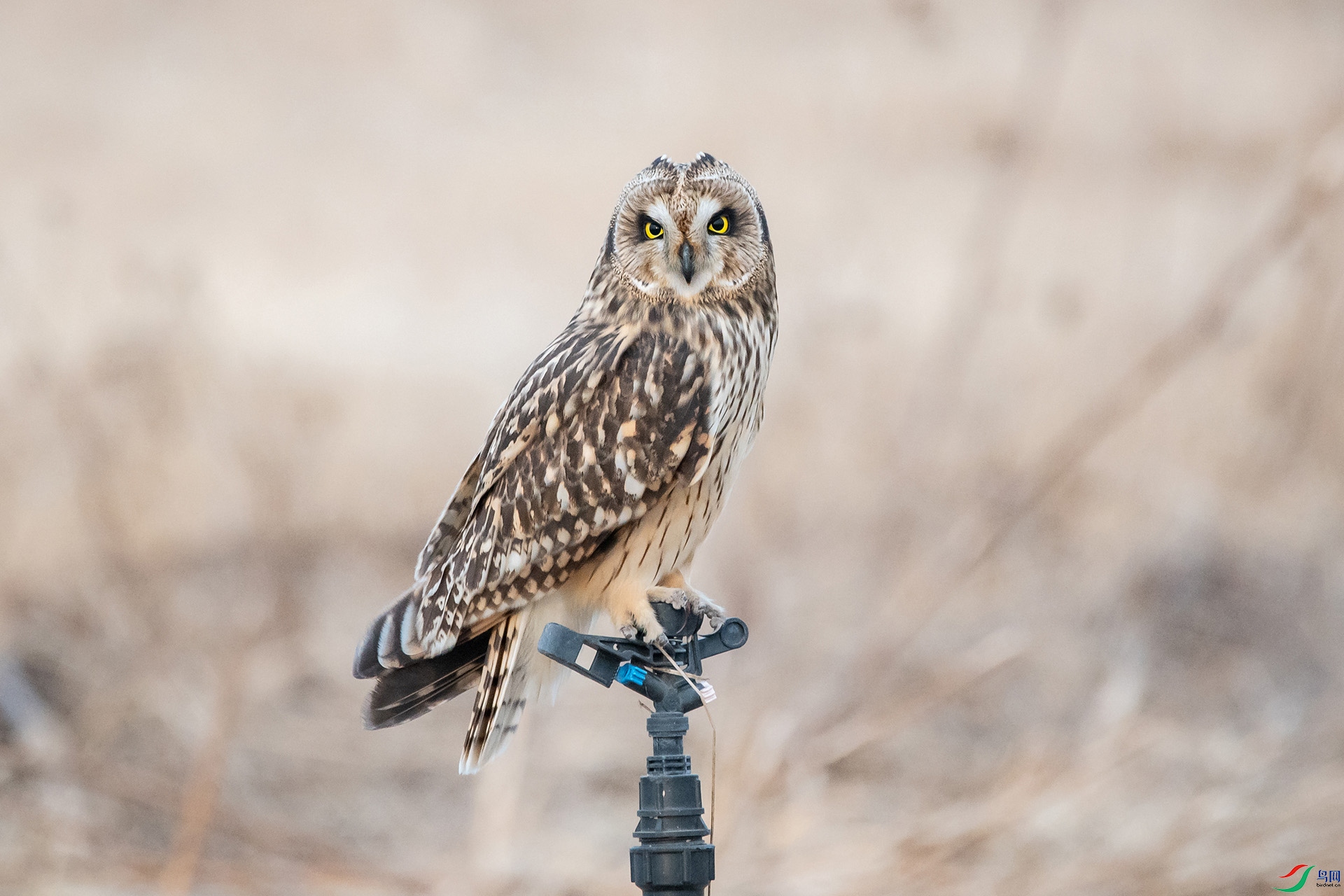 DSC_0826-20210302�ü� .jpg