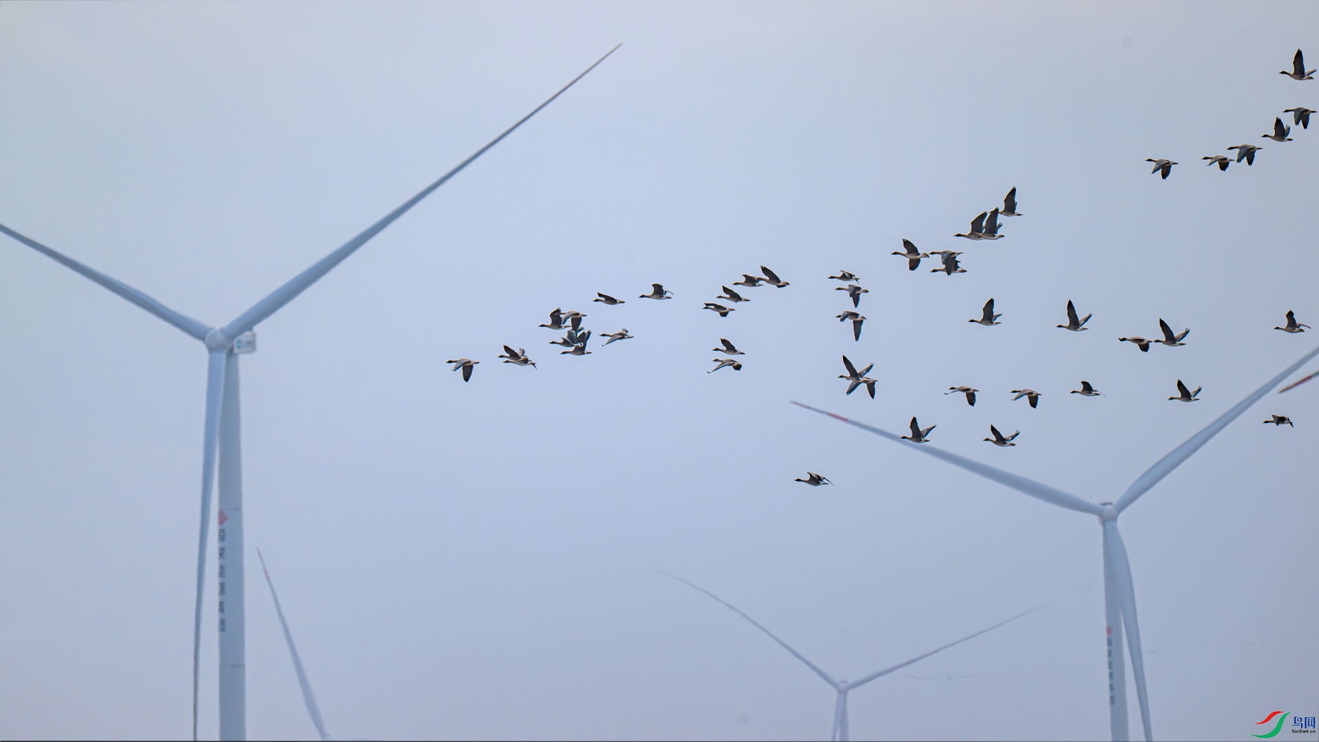 DSC_5580 ����_����.jpg