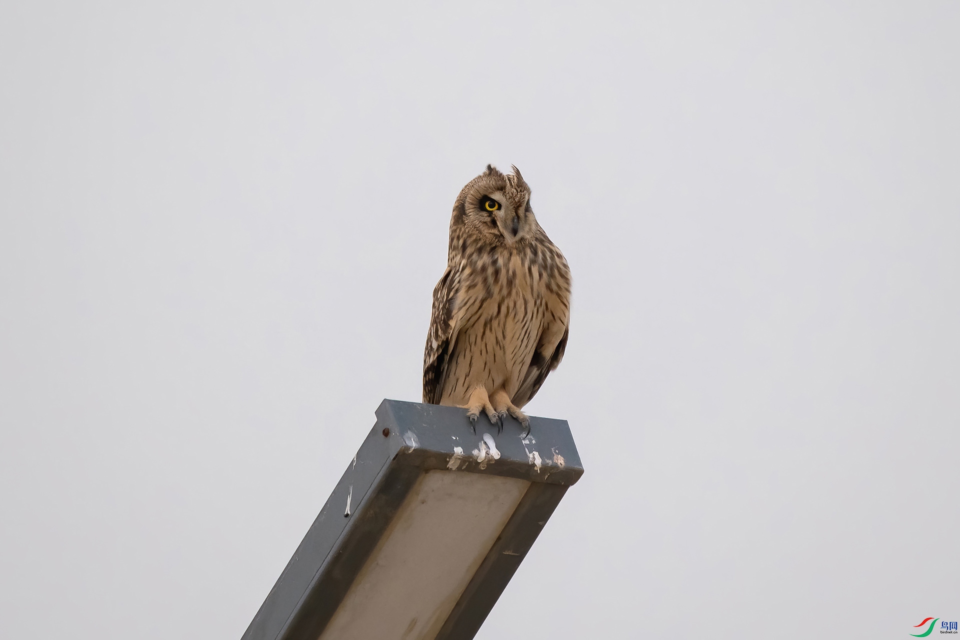 DSC_0853-20201220AI�ü� .jpg