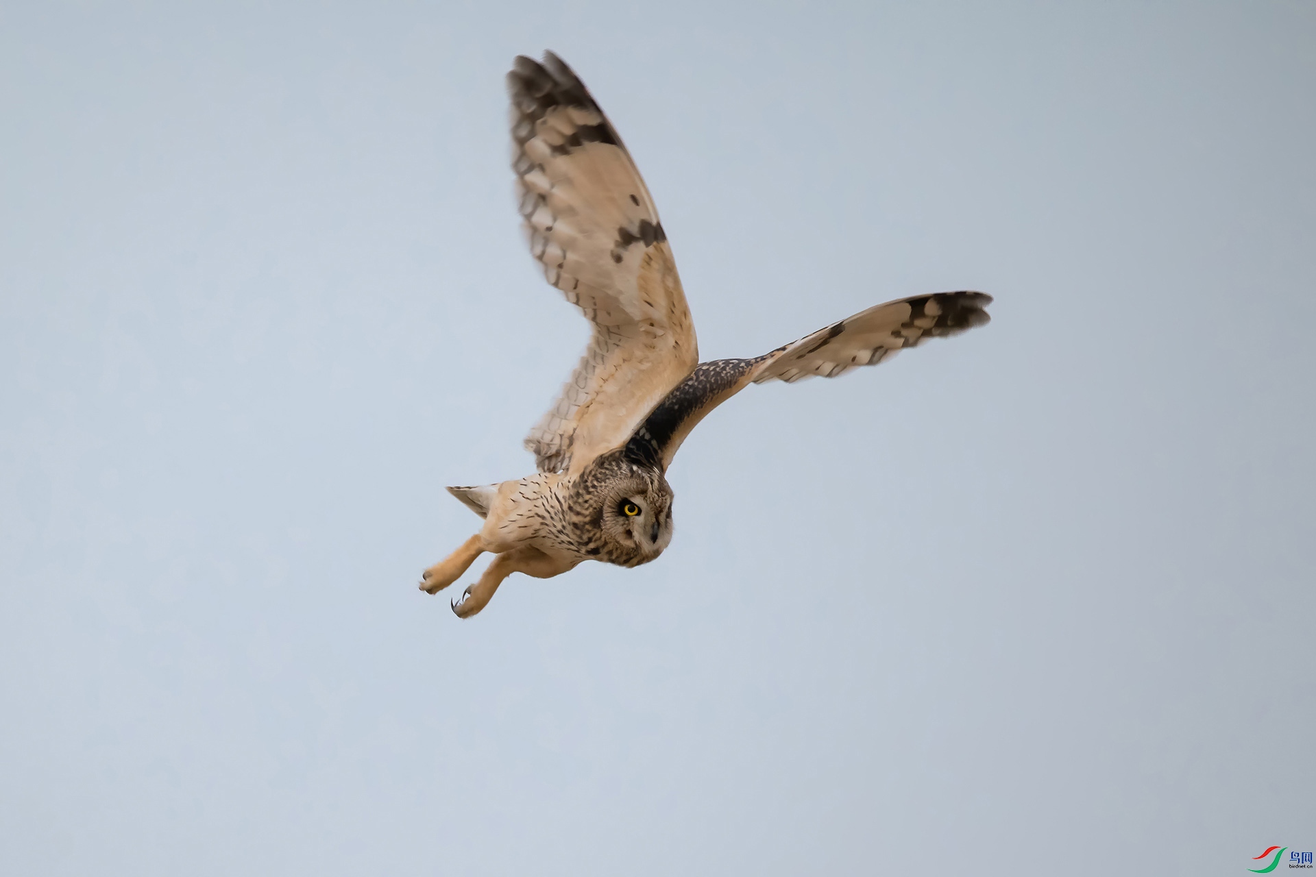 DSC_0858-20210302AI�ü� .jpg