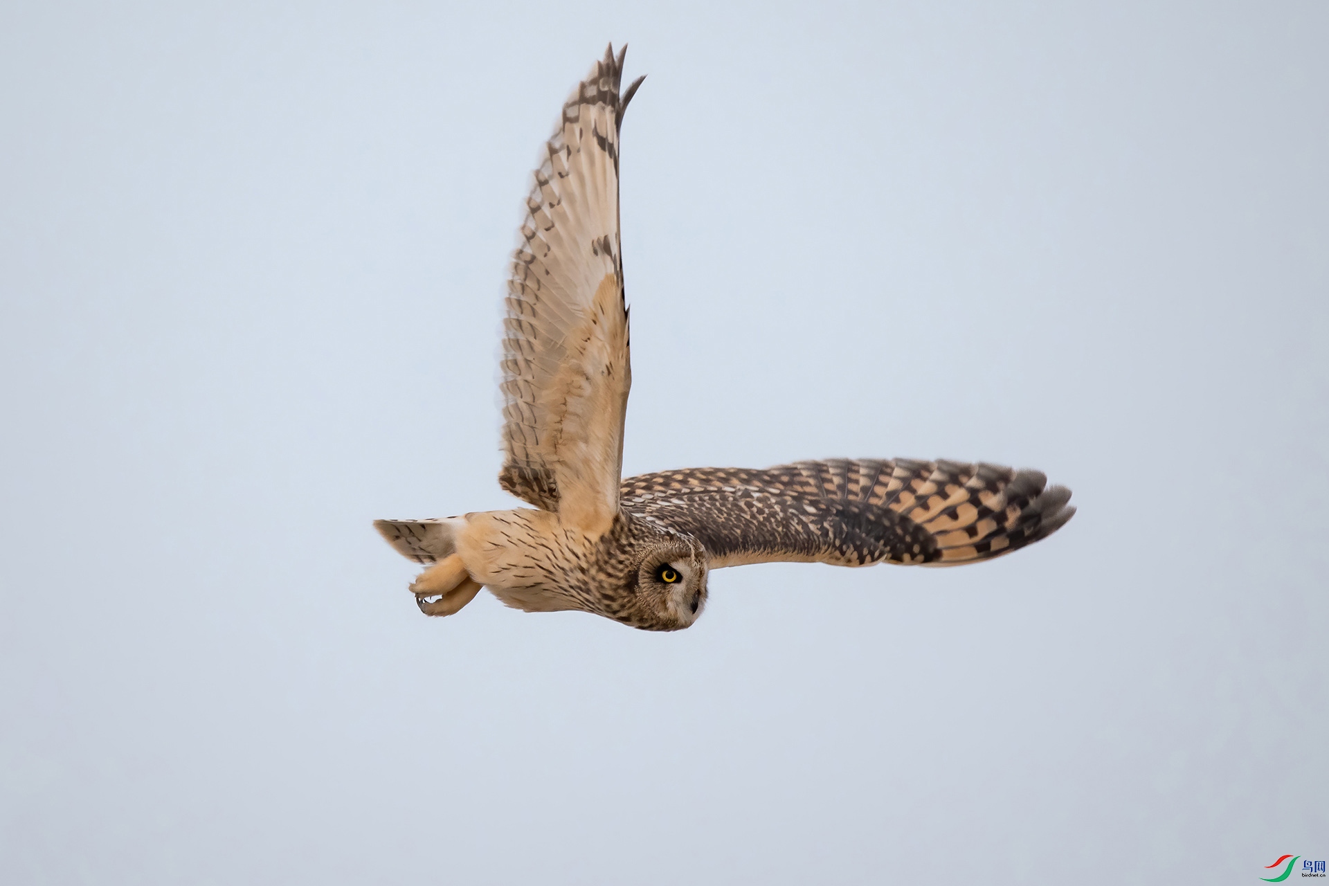 DSC_0862-20210302AI�ü� .jpg